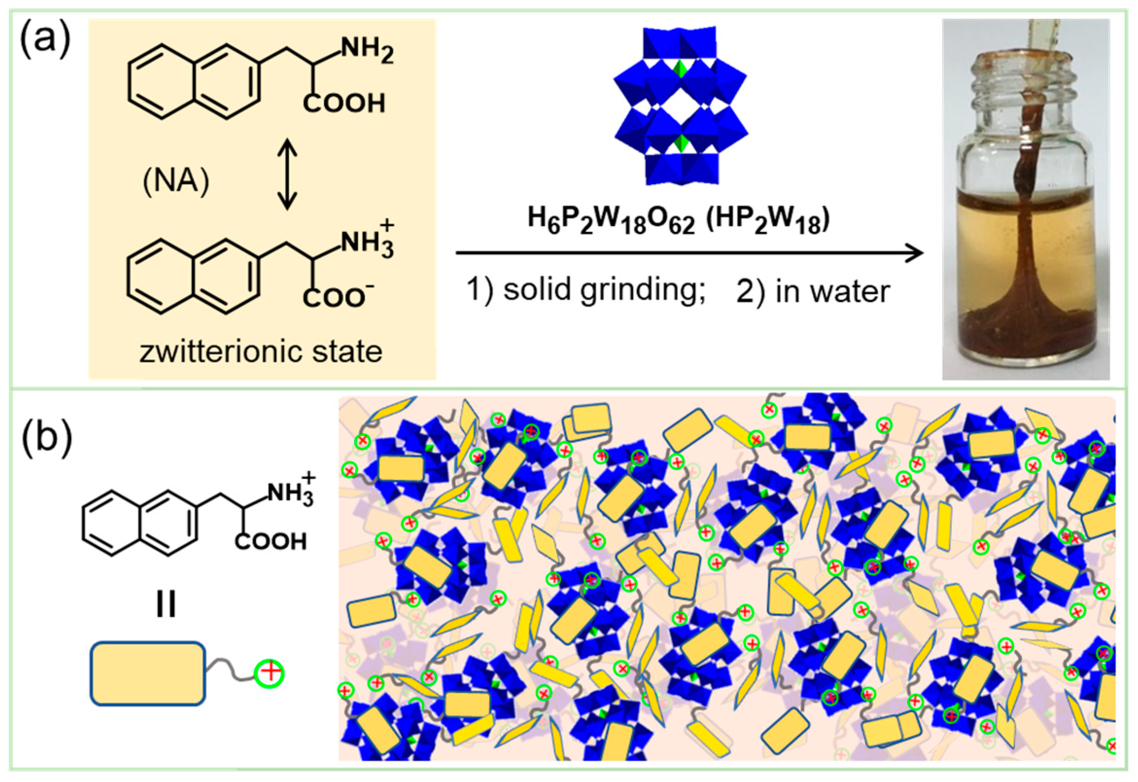 Molecules 29 04705 g011 Molecules 29 04705 g011