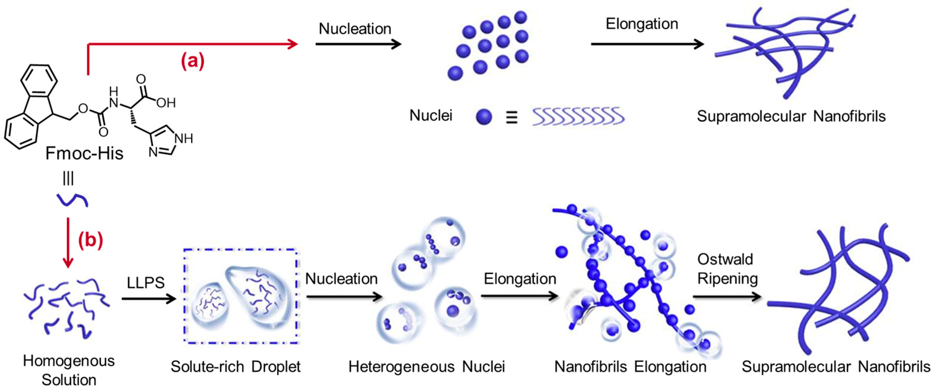 Molecules 29 04705 g013 Molecules 29 04705 g013