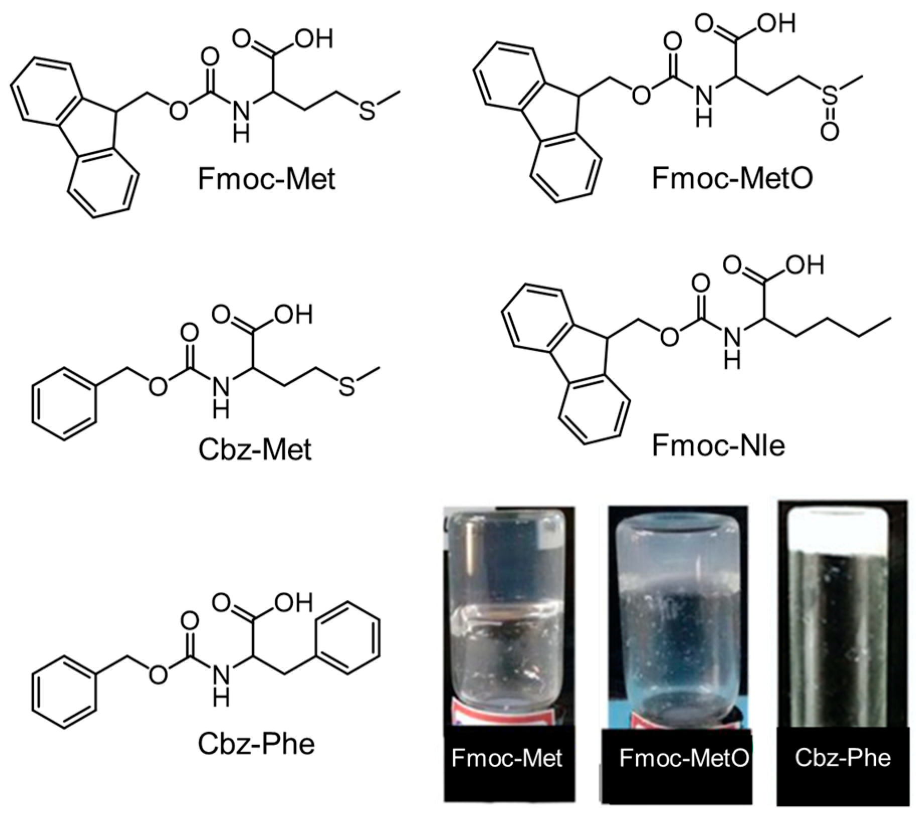 Molecules 29 04705 g014 Molecules 29 04705 g014