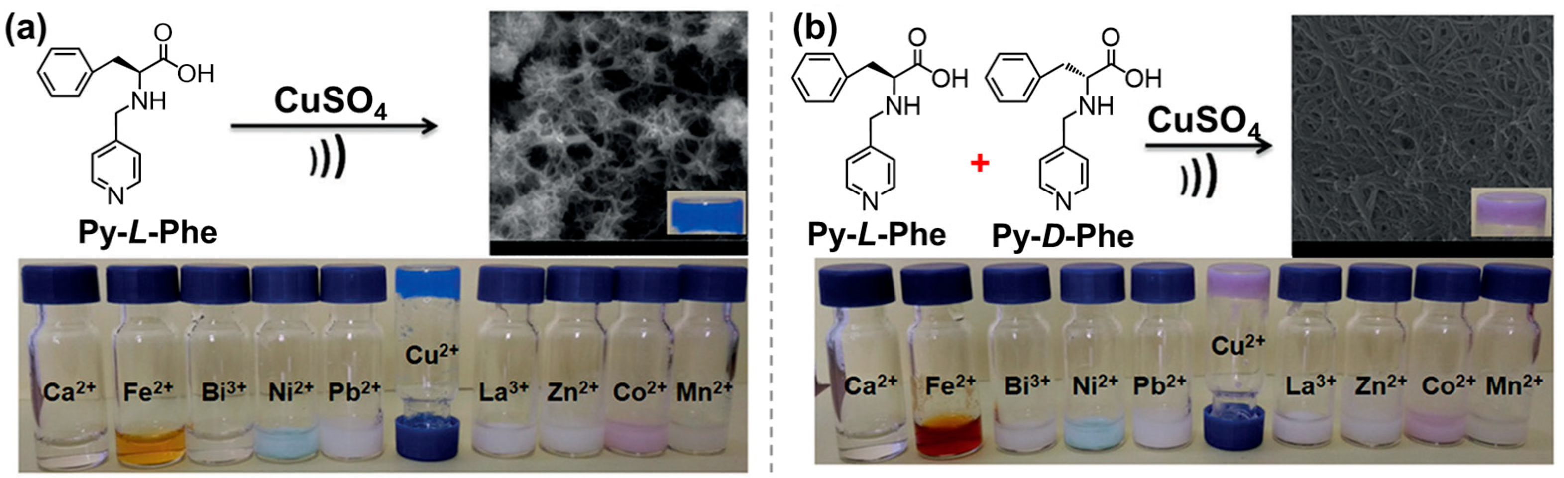 Molecules 29 04705 g022 Molecules 29 04705 g022