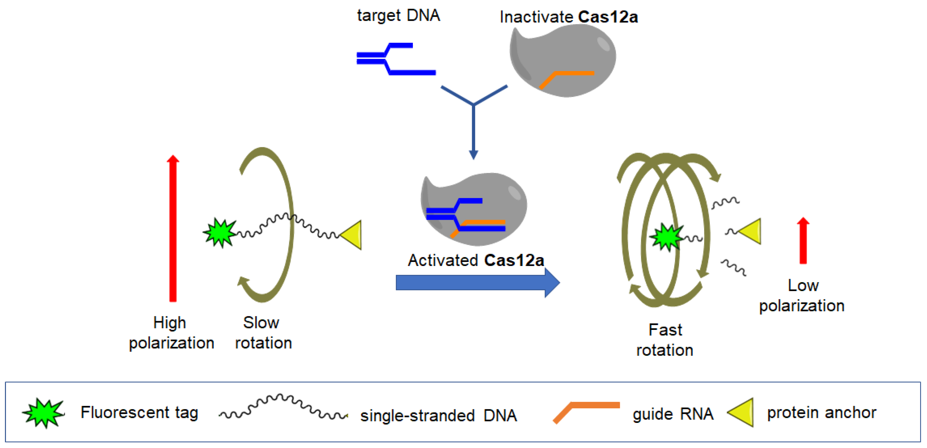 Molecules 29 04712 g005 Molecules 29 04712 g005