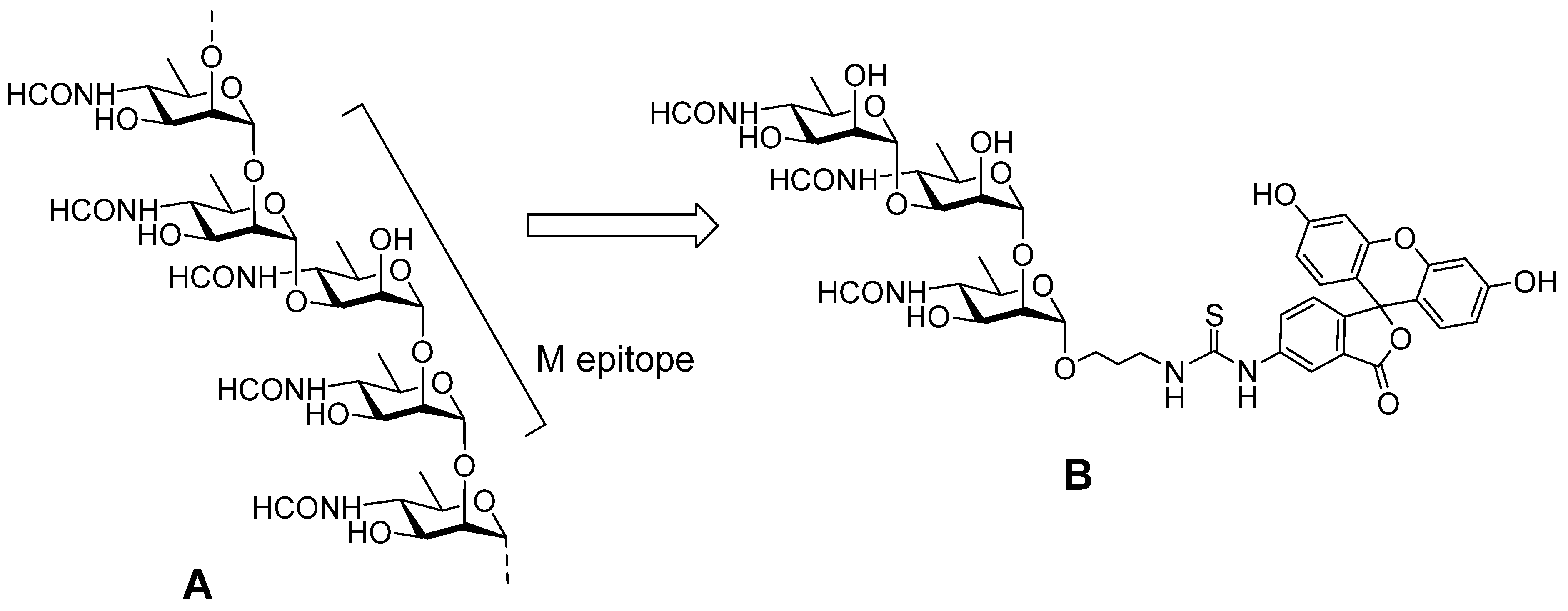 Molecules 29 04712 g006 Molecules 29 04712 g006