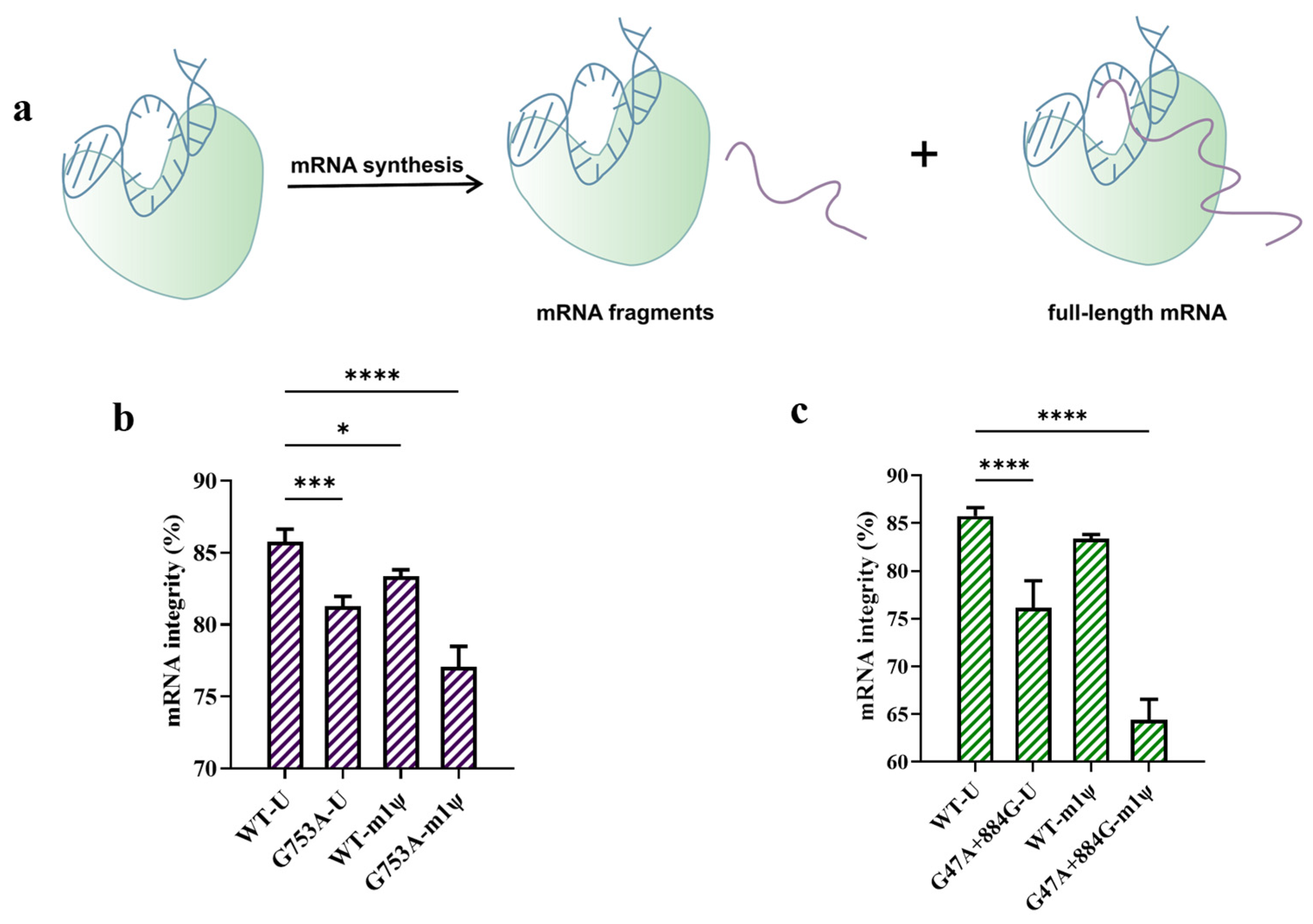 Molecules 29 04713 g005 Molecules 29 04713 g005