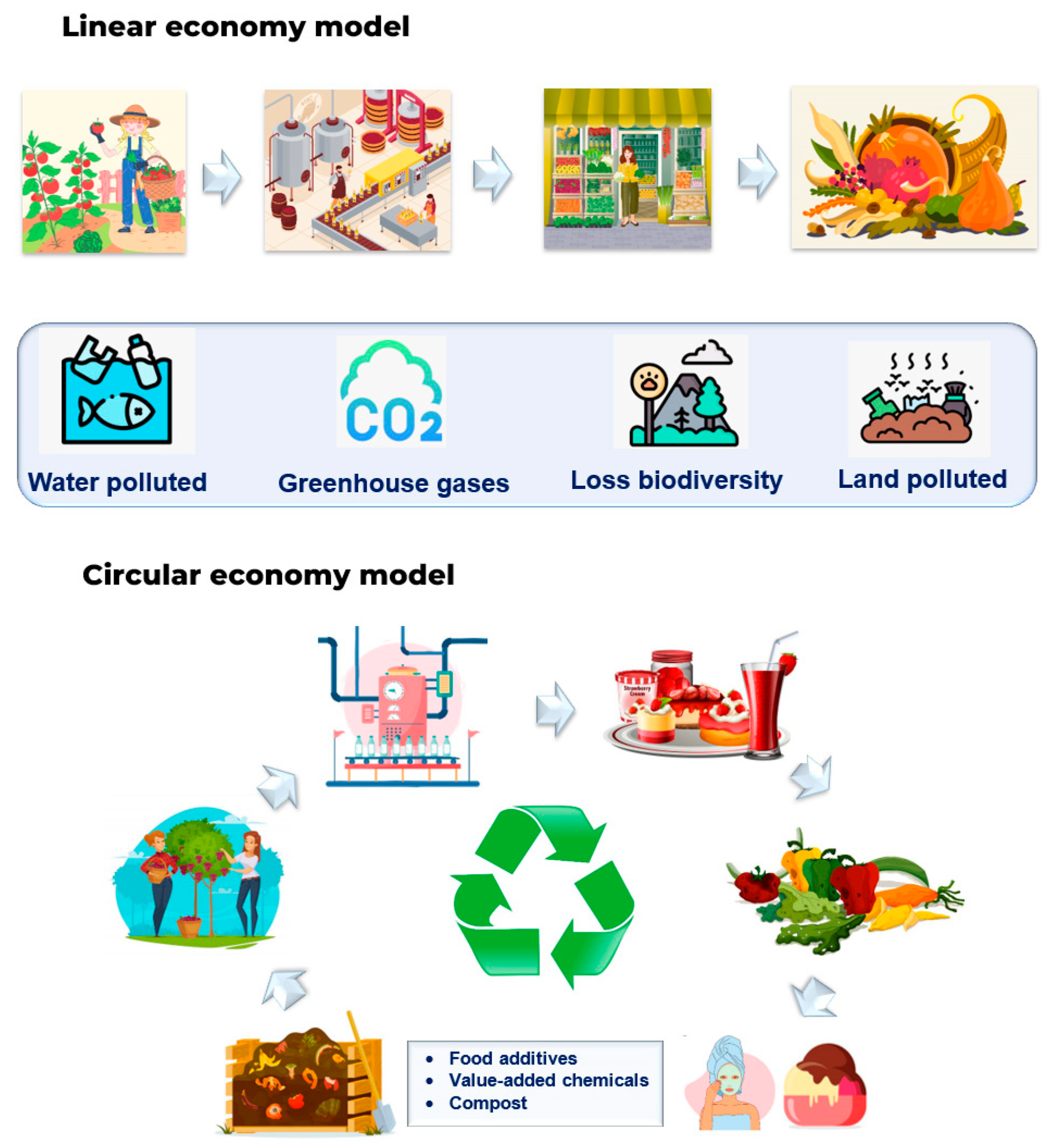 Molecules 29 04717 g001