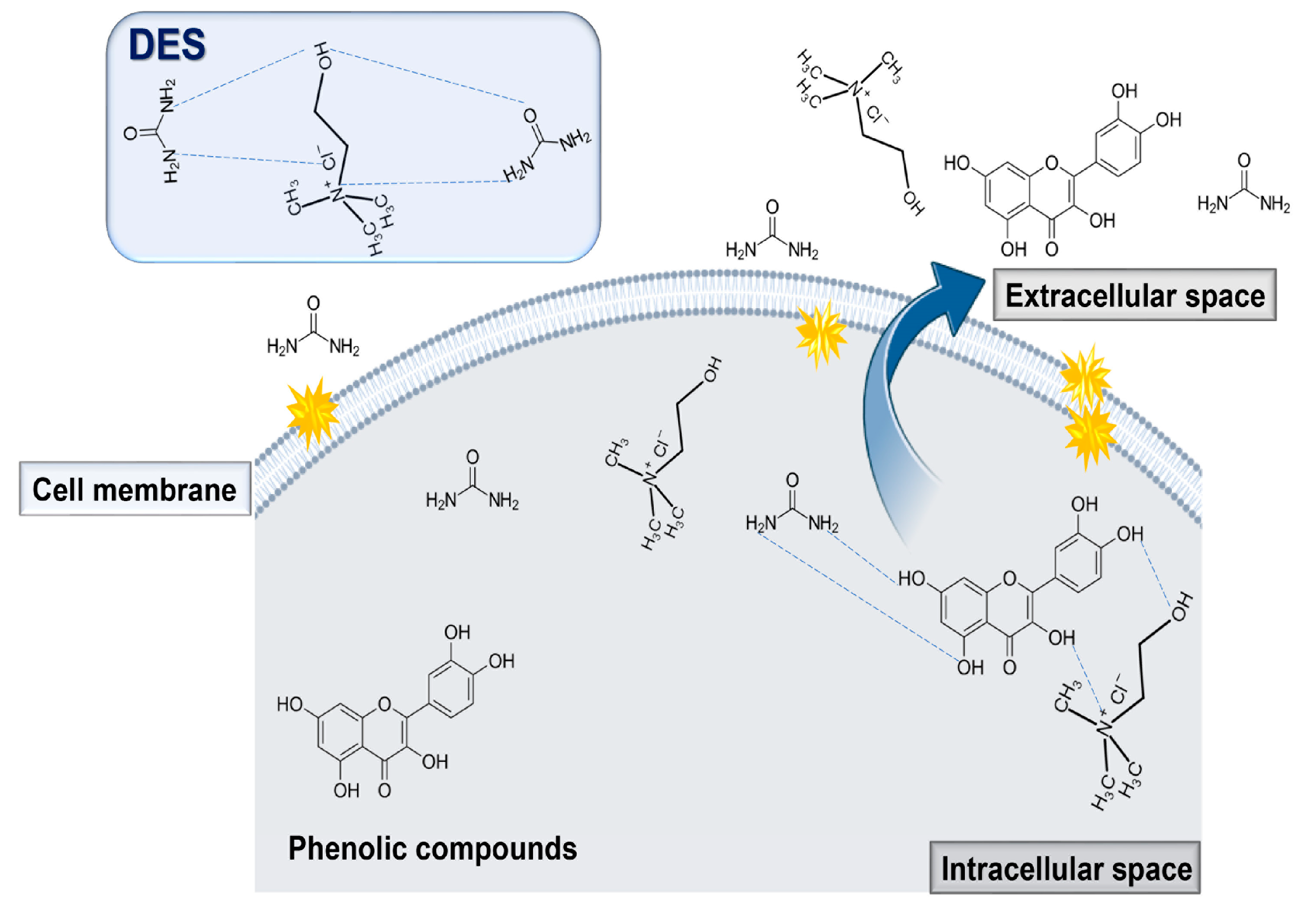 Molecules 29 04717 g003