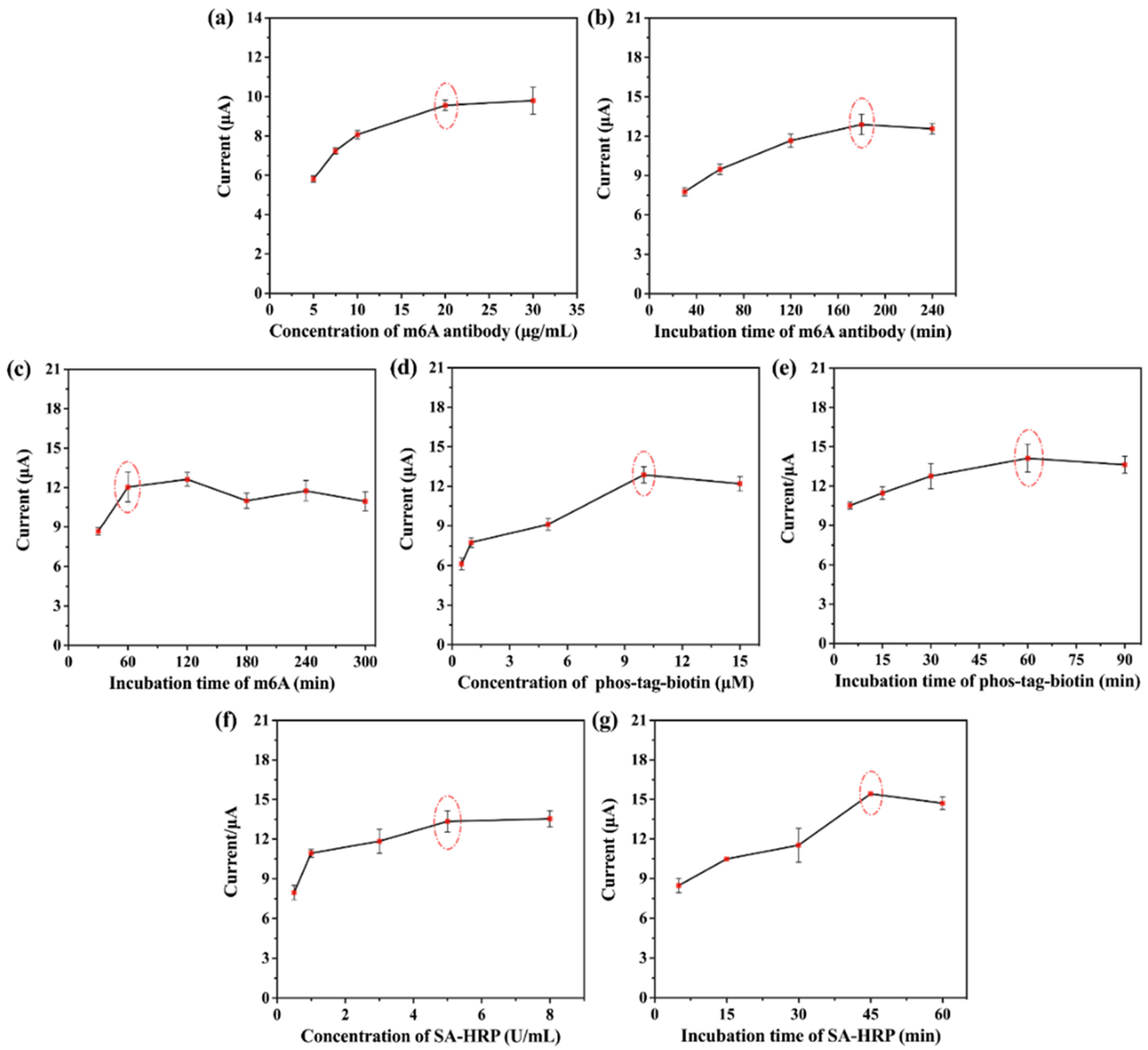 Molecules 29 04718 g004