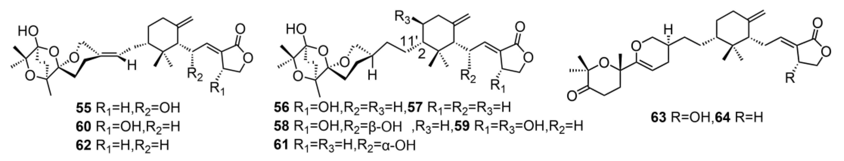 Molecules 29 04719 g003