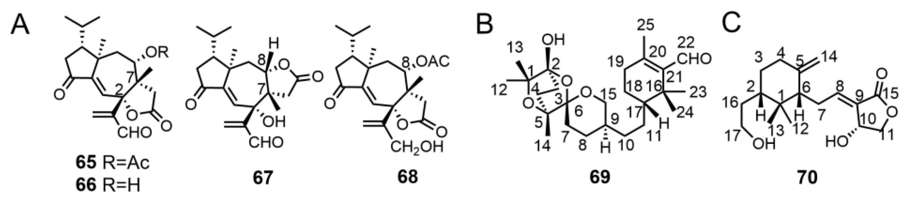 Molecules 29 04719 g004