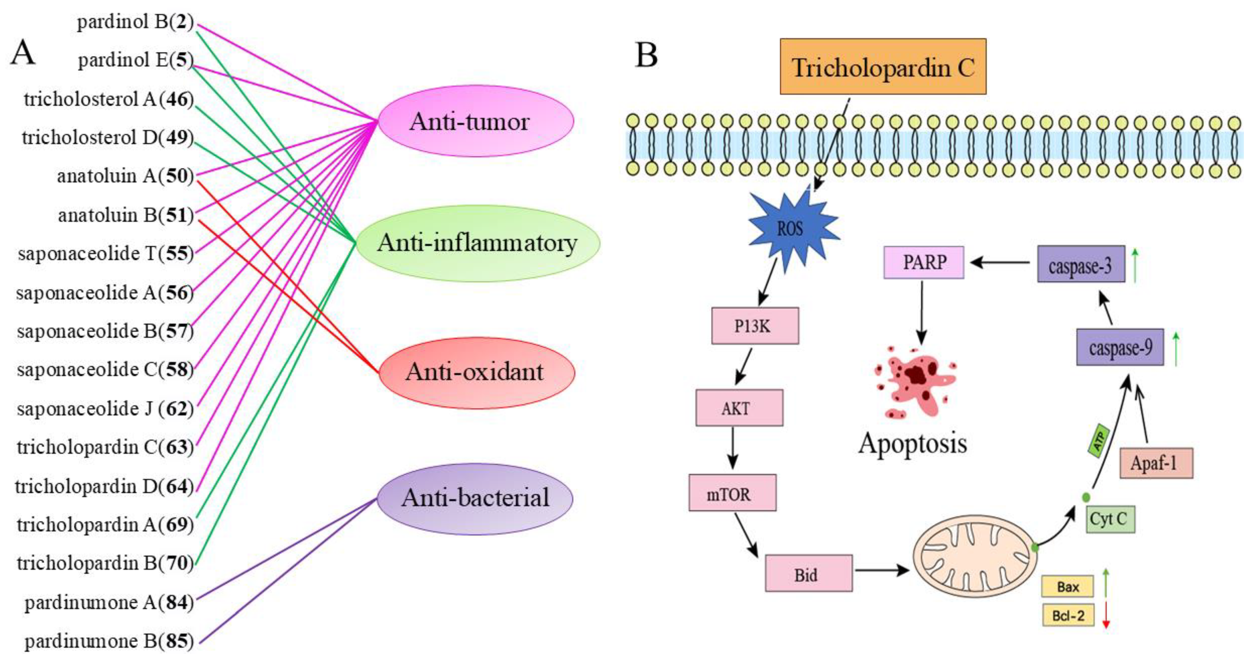 Molecules 29 04719 g007