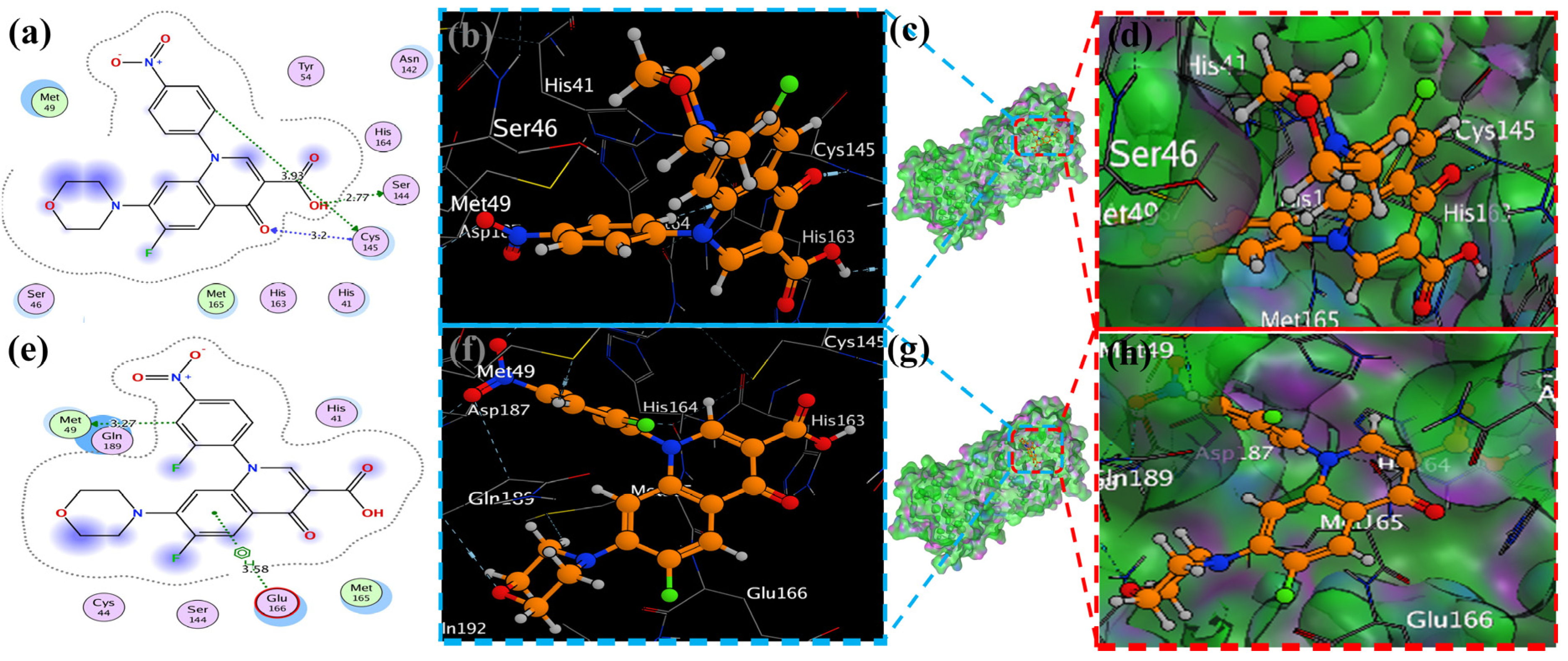 Molecules 29 04721 g008