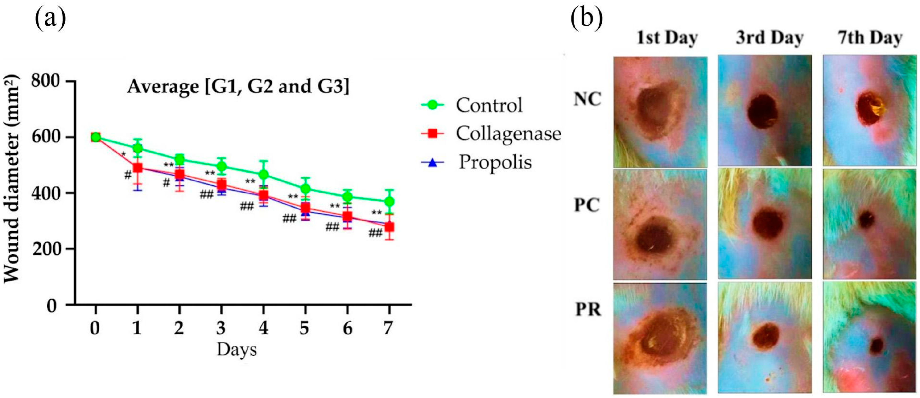 Molecules 29 04742 g002 Molecules 29 04742 g002
