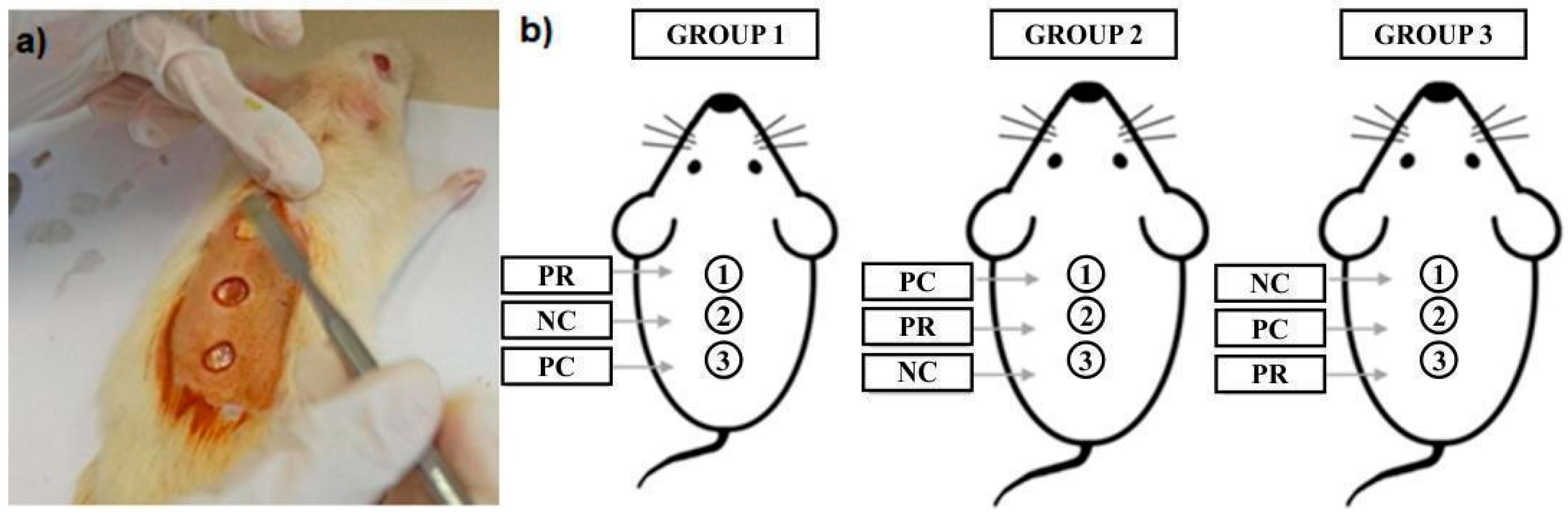 Molecules 29 04742 g006 Molecules 29 04742 g006