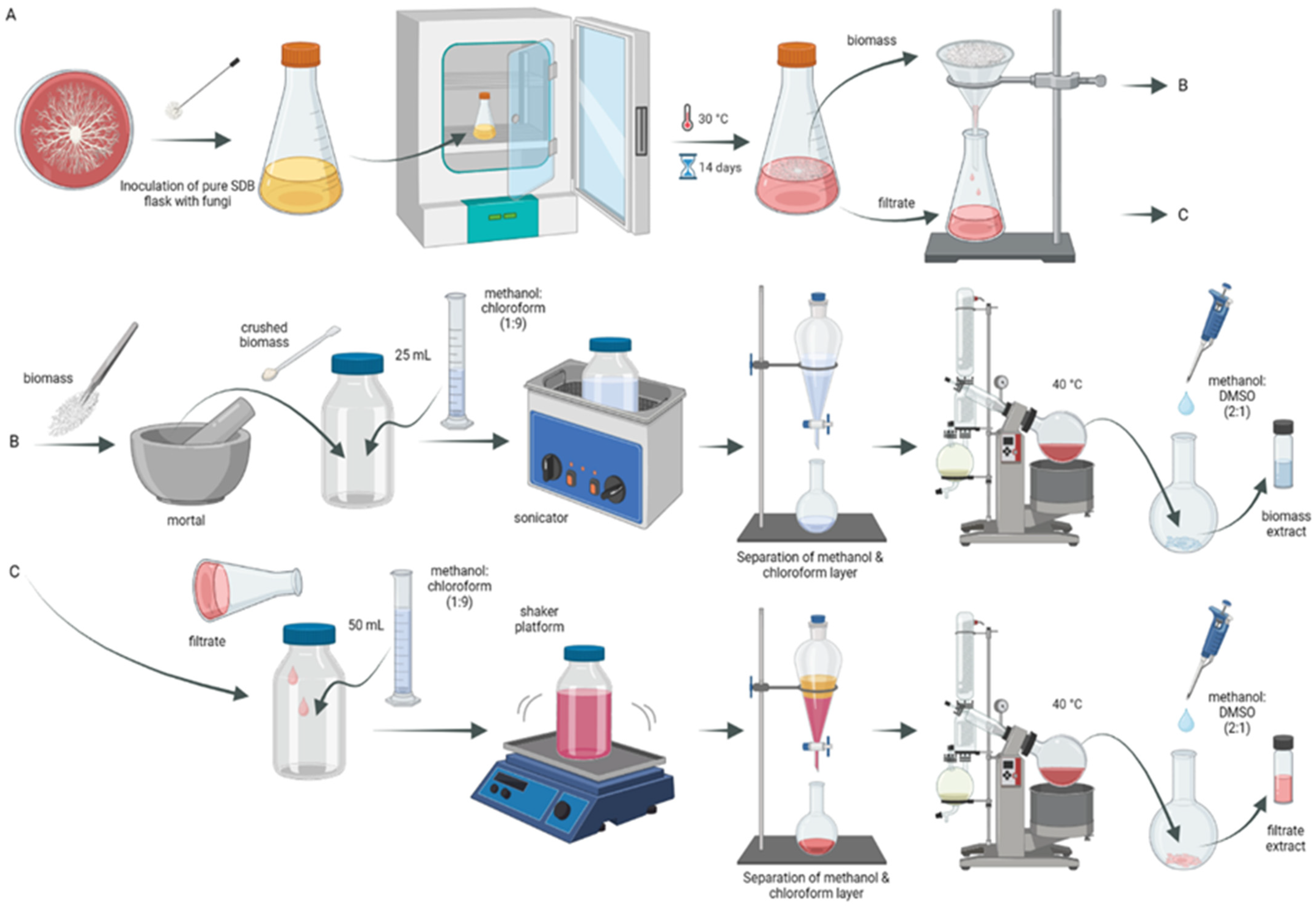 Molecules 29 04746 g003
