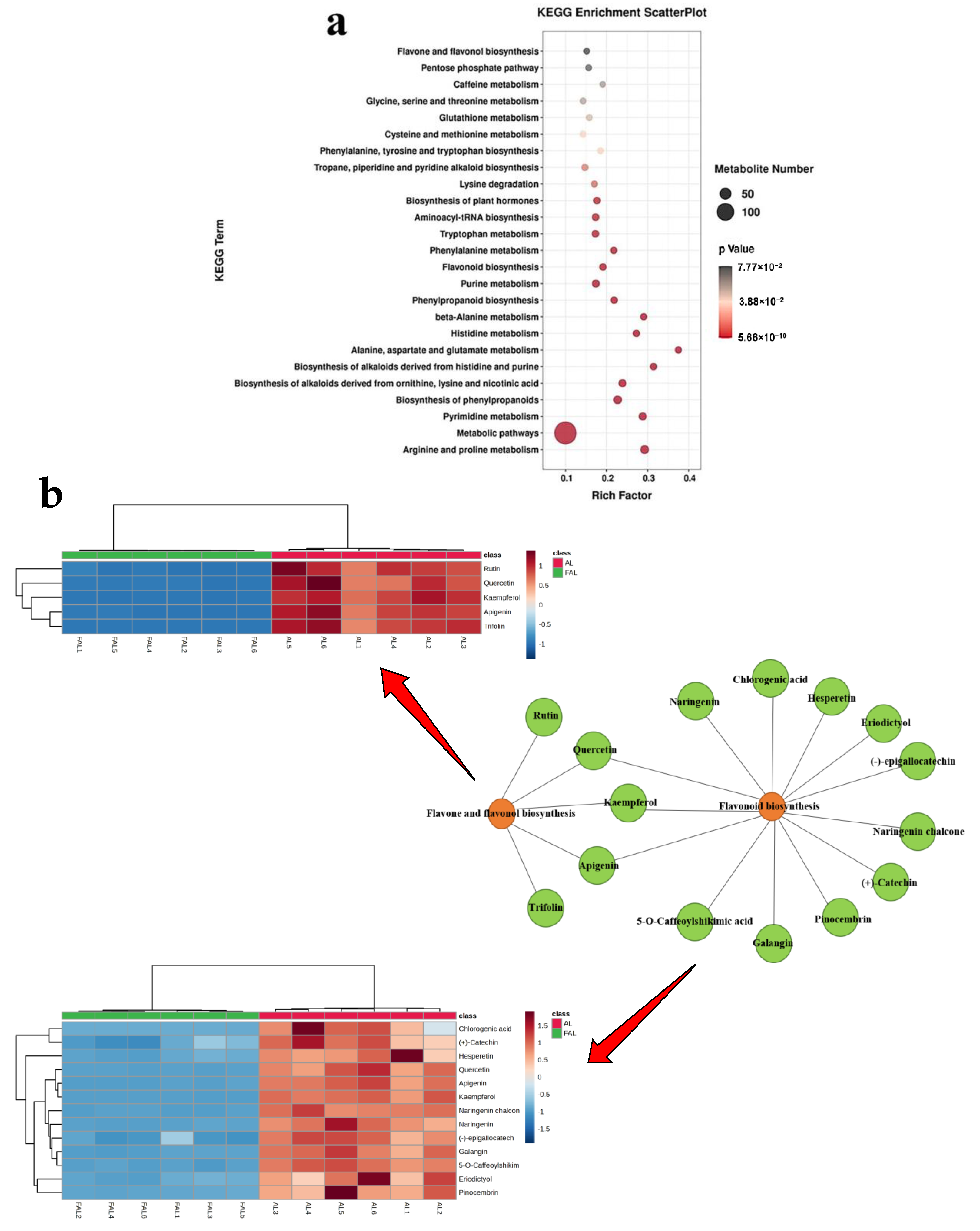 Molecules 29 04749 g012