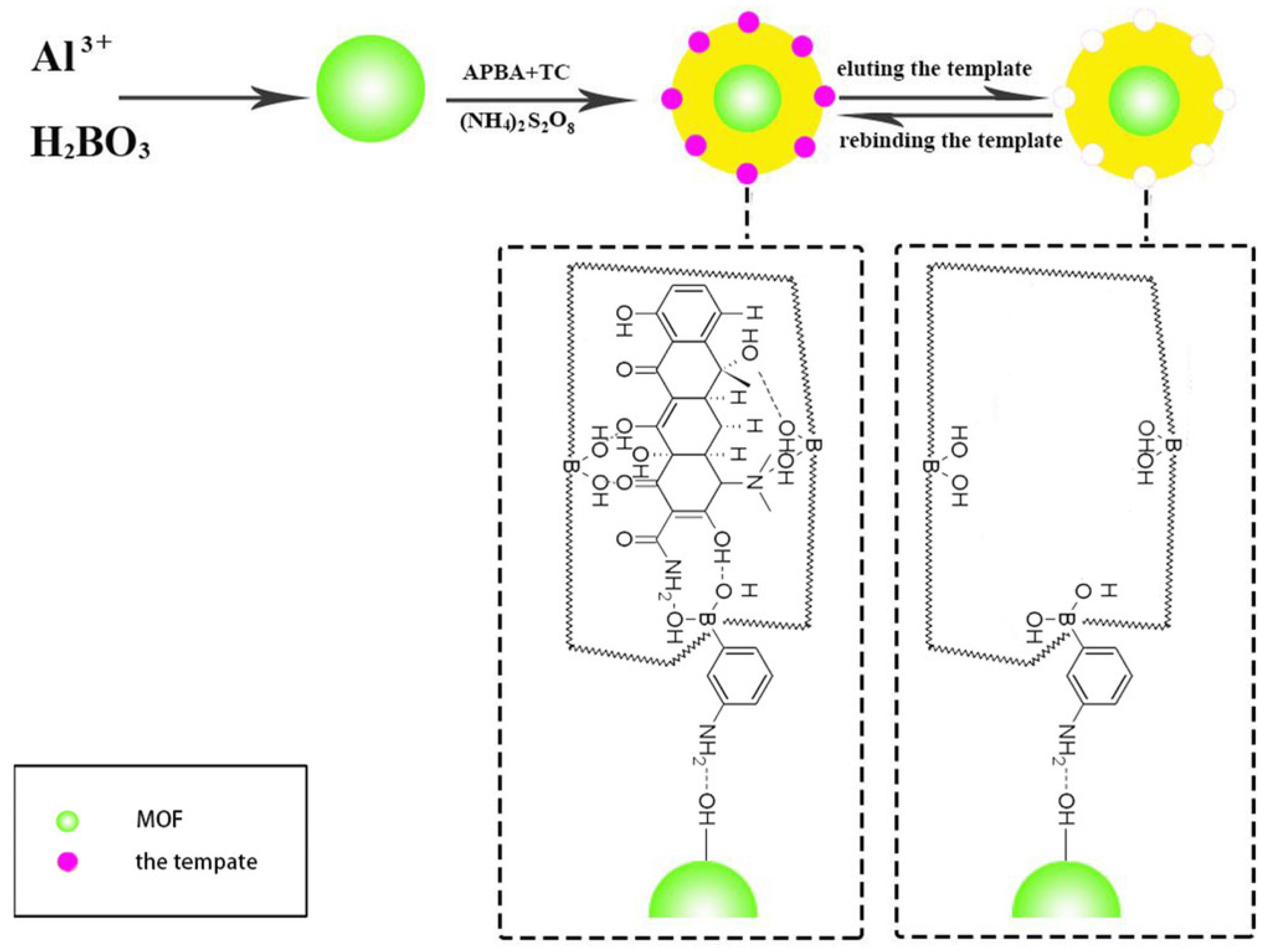 Molecules 29 04752 g019