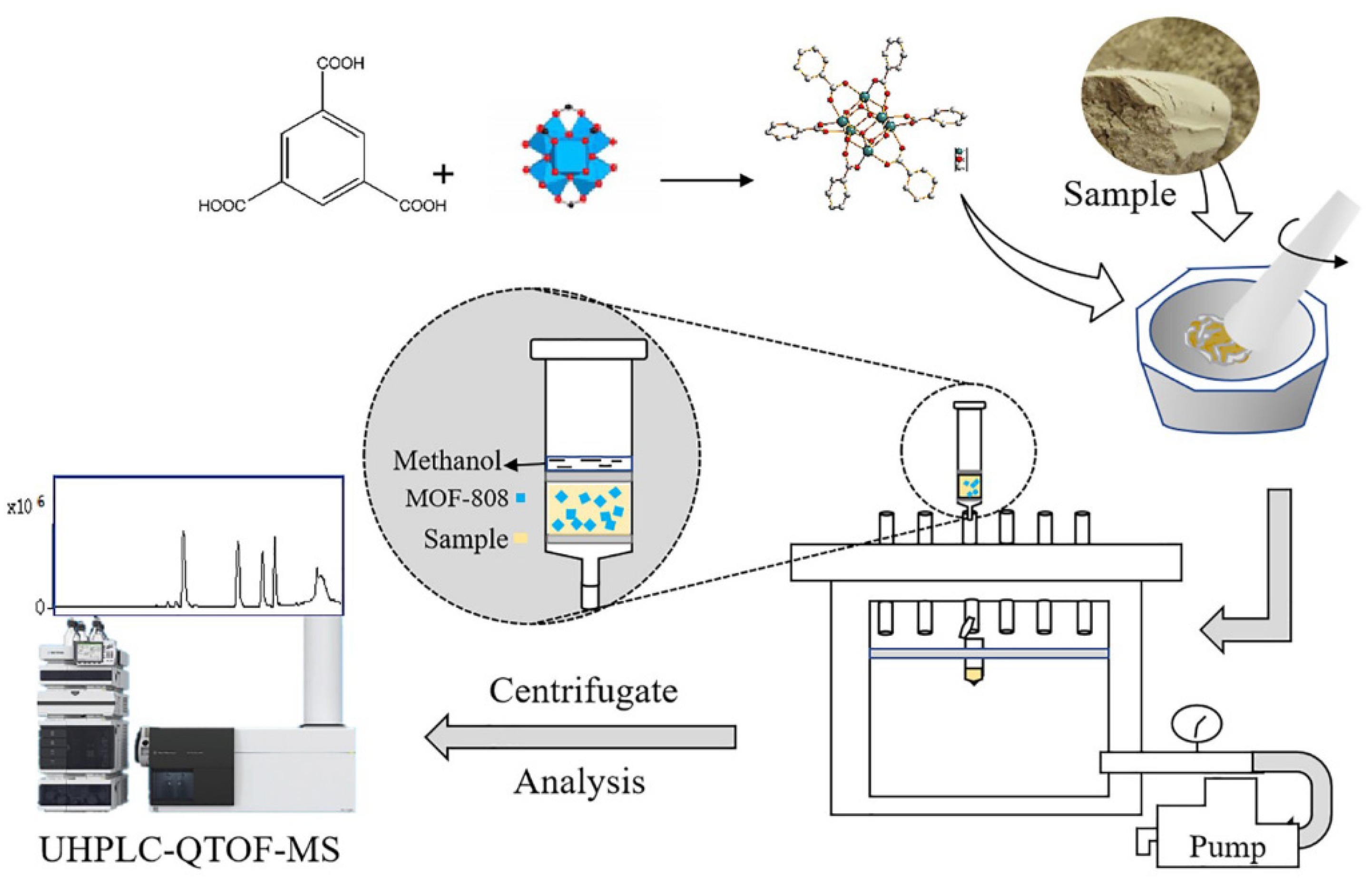 Molecules 29 04752 g020
