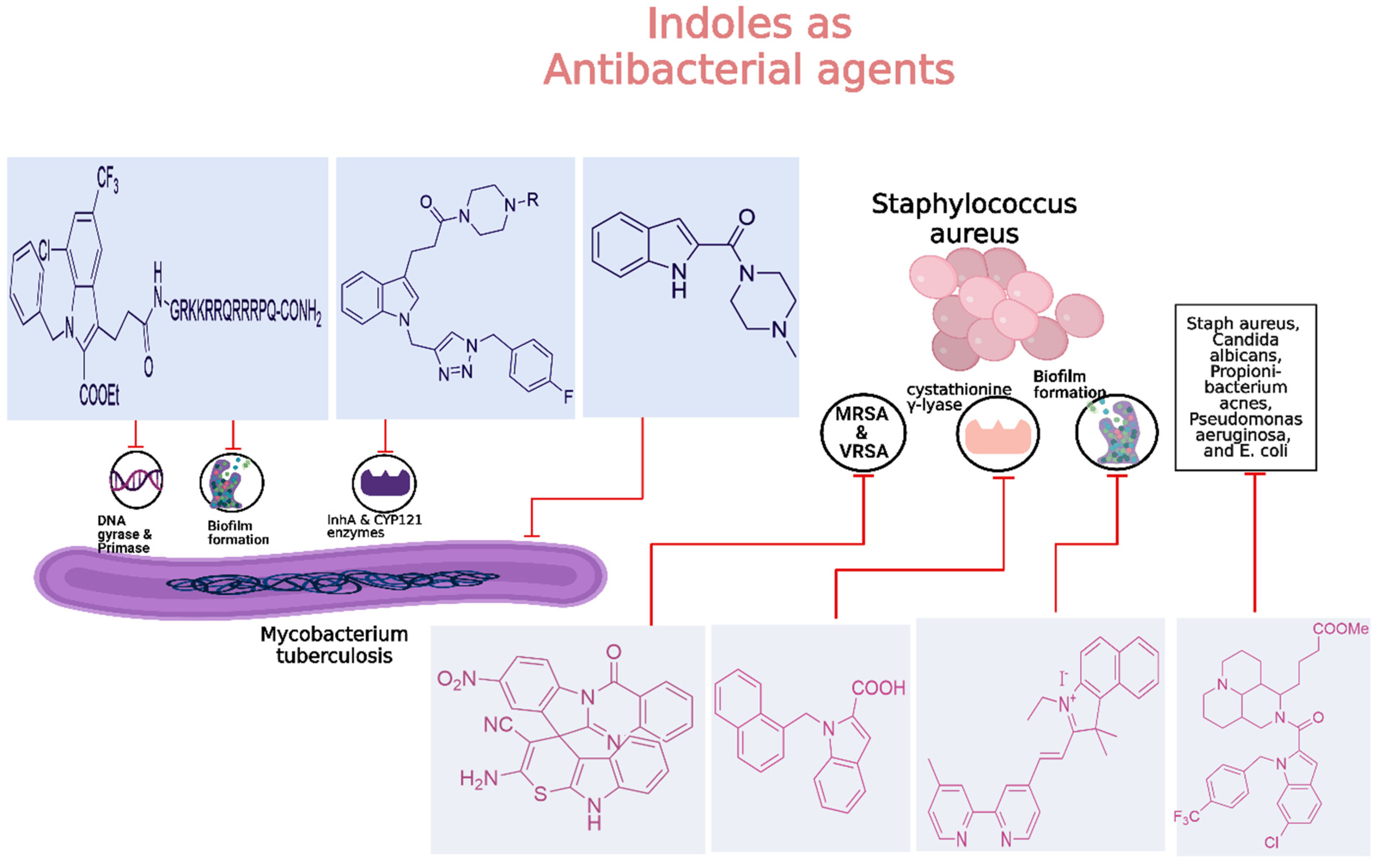 Molecules 29 04770 g011