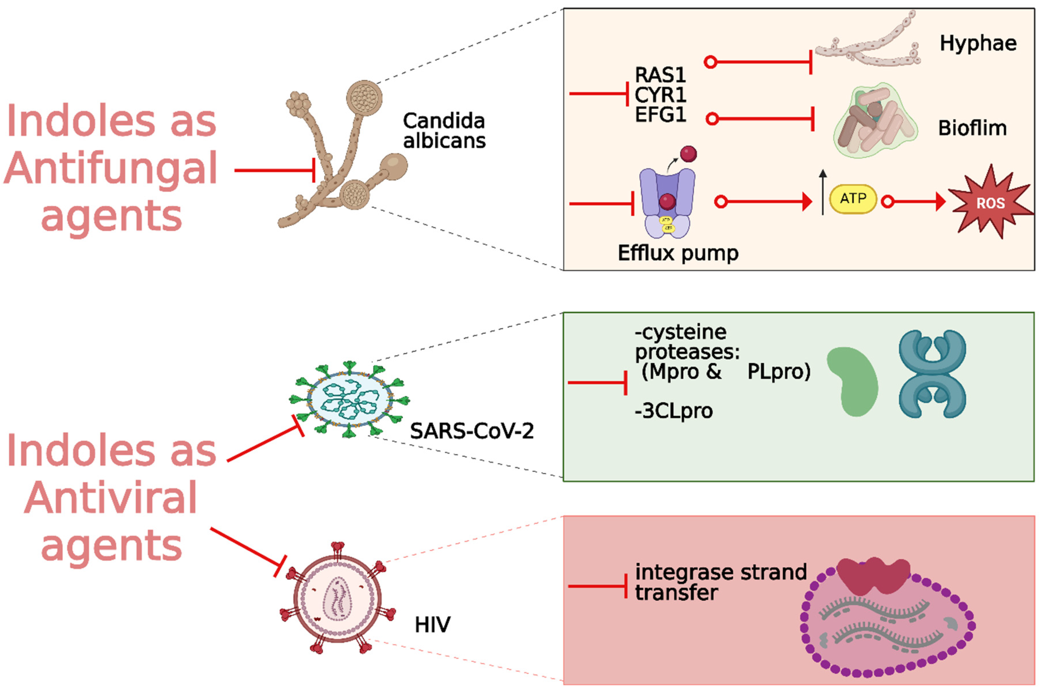 Molecules 29 04770 g015