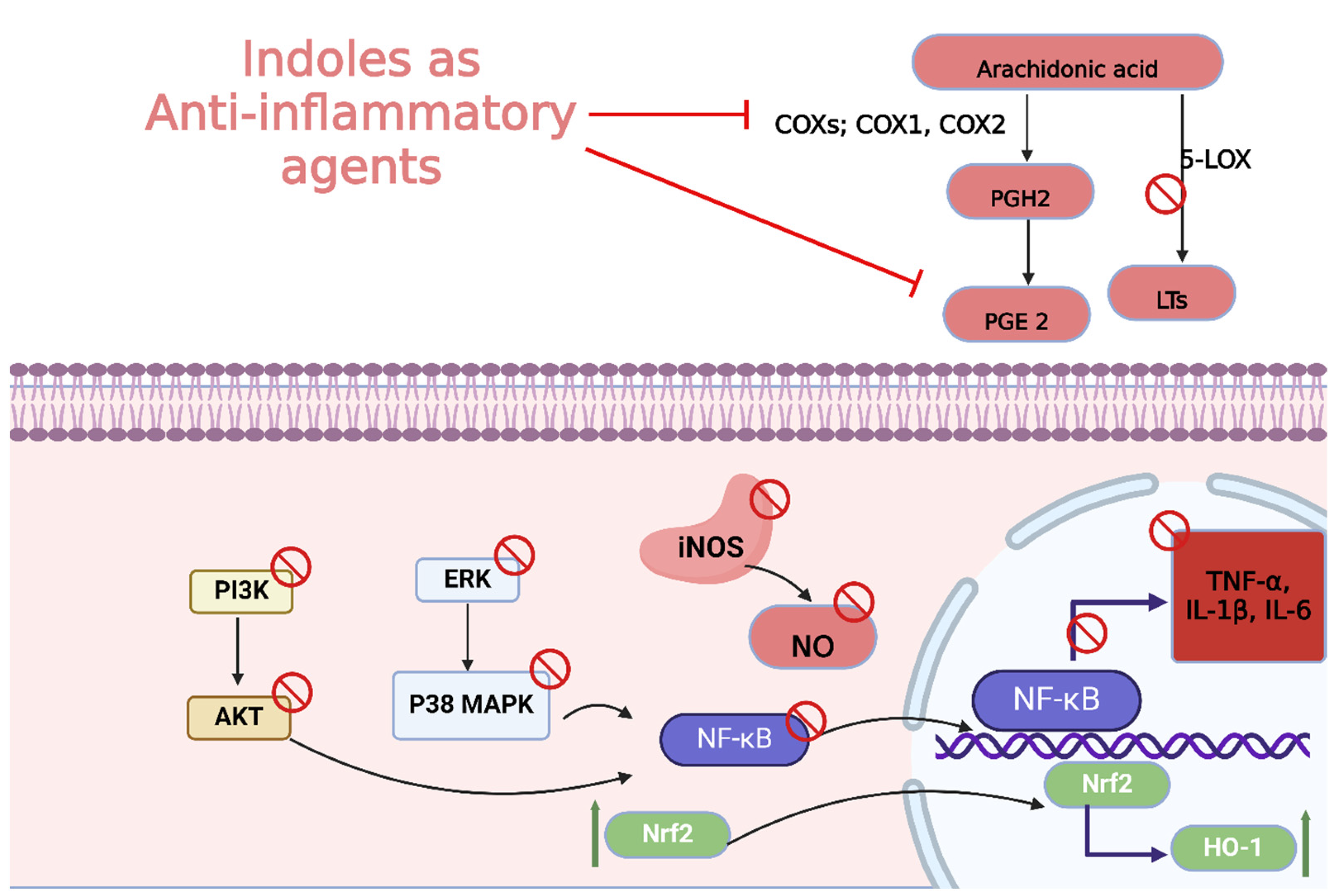 Molecules 29 04770 g018