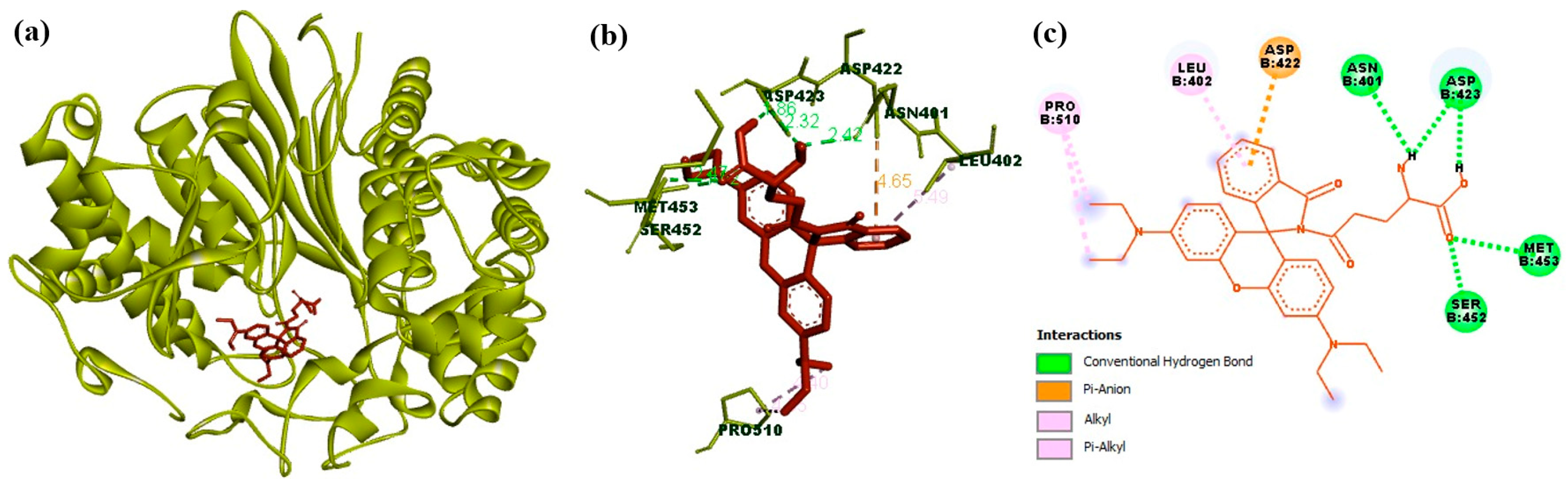 Molecules 29 04776 g005