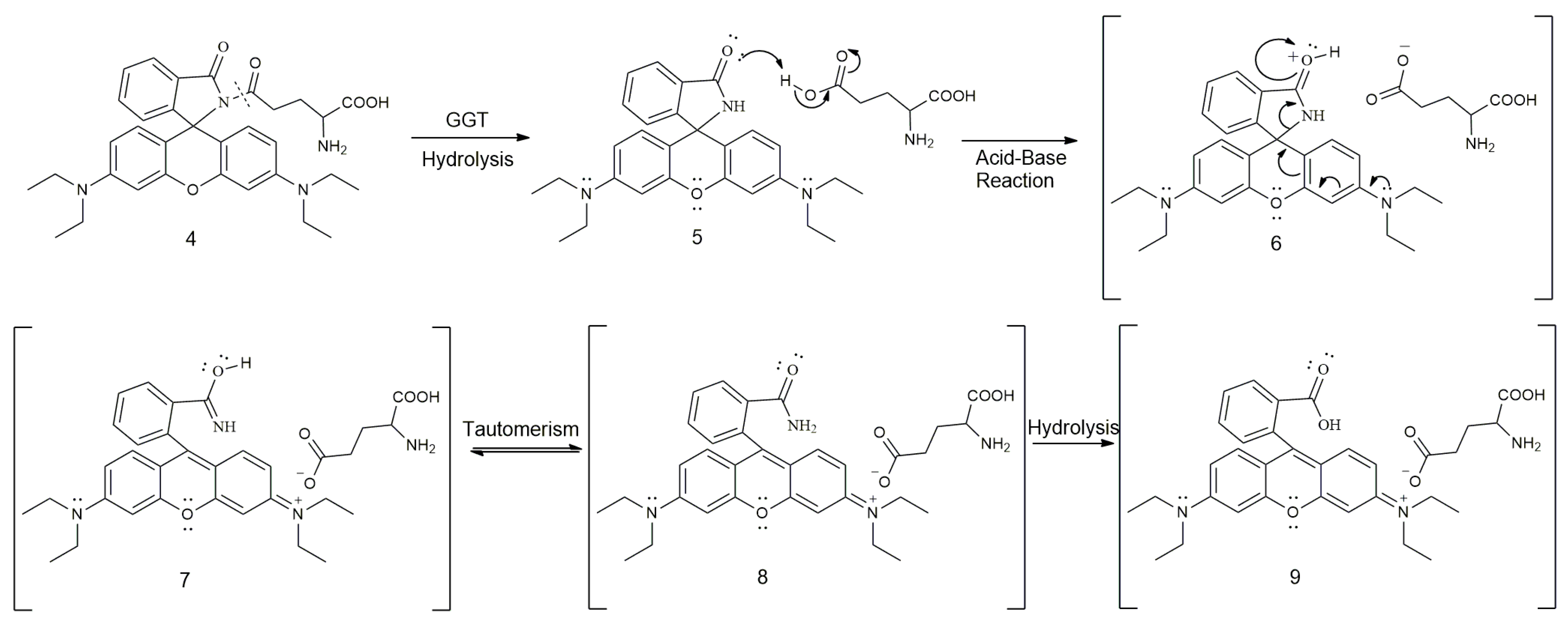Molecules 29 04776 sch001