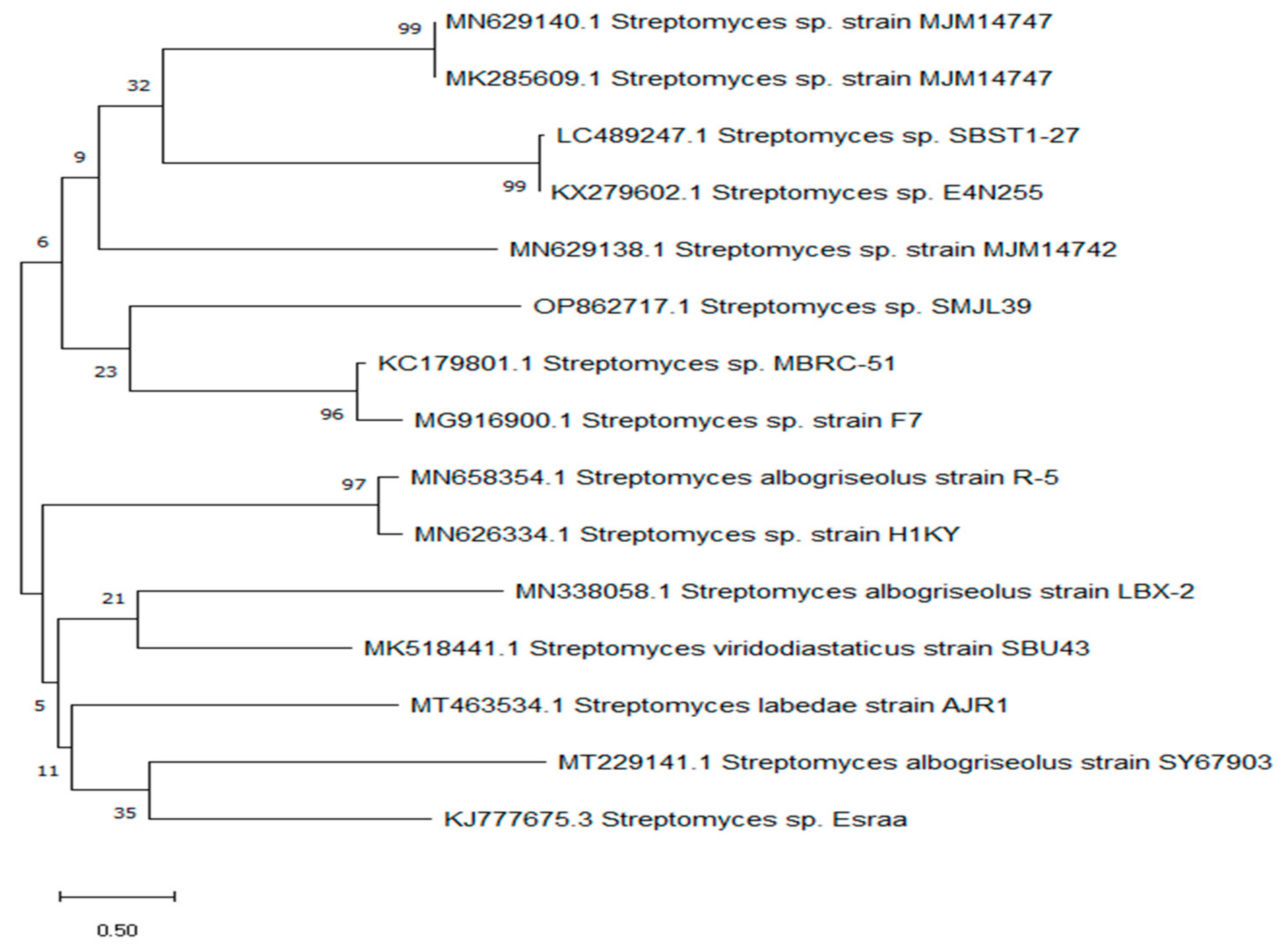 Molecules 29 04784 g003