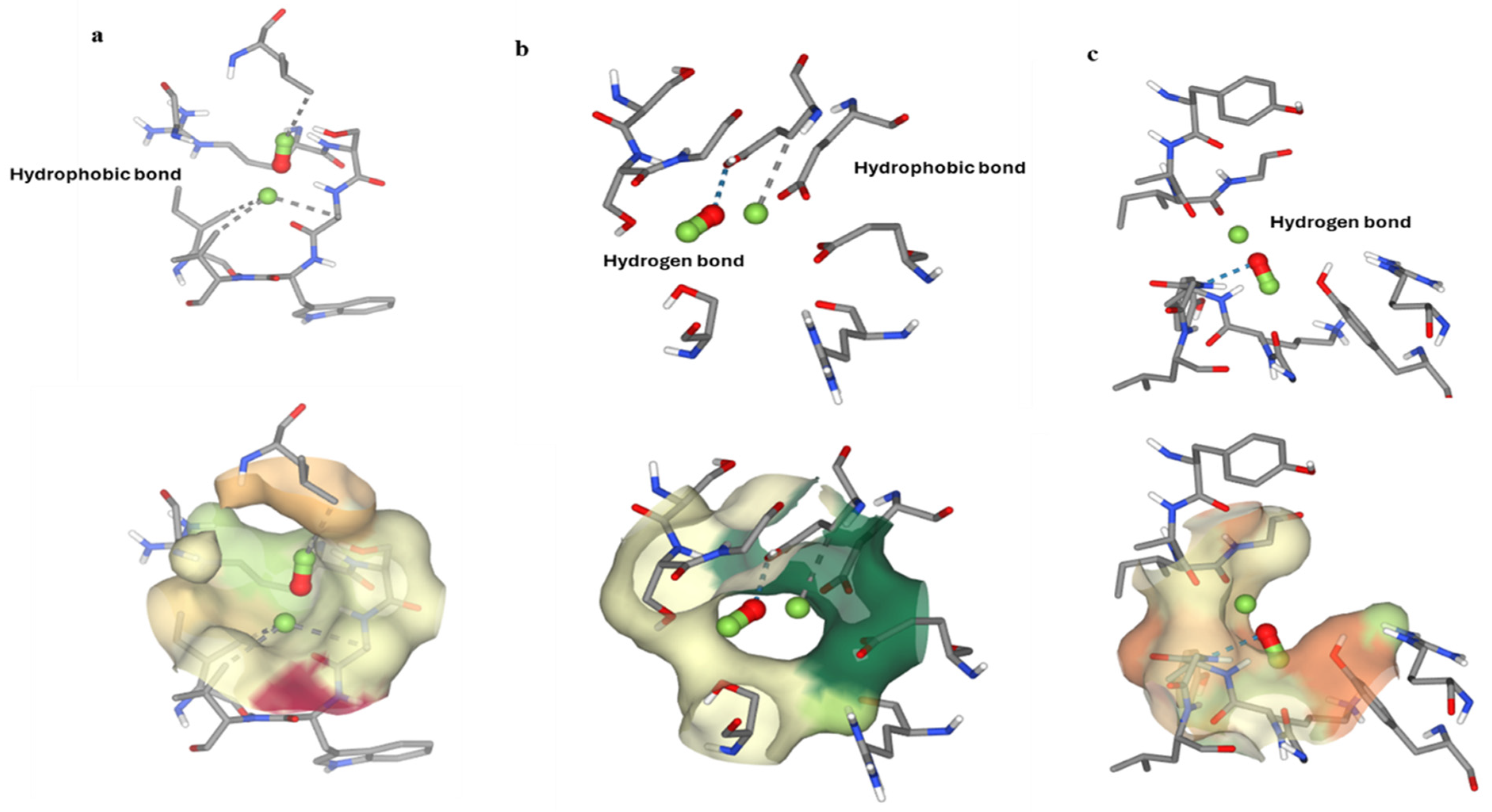 Molecules 29 04784 g012