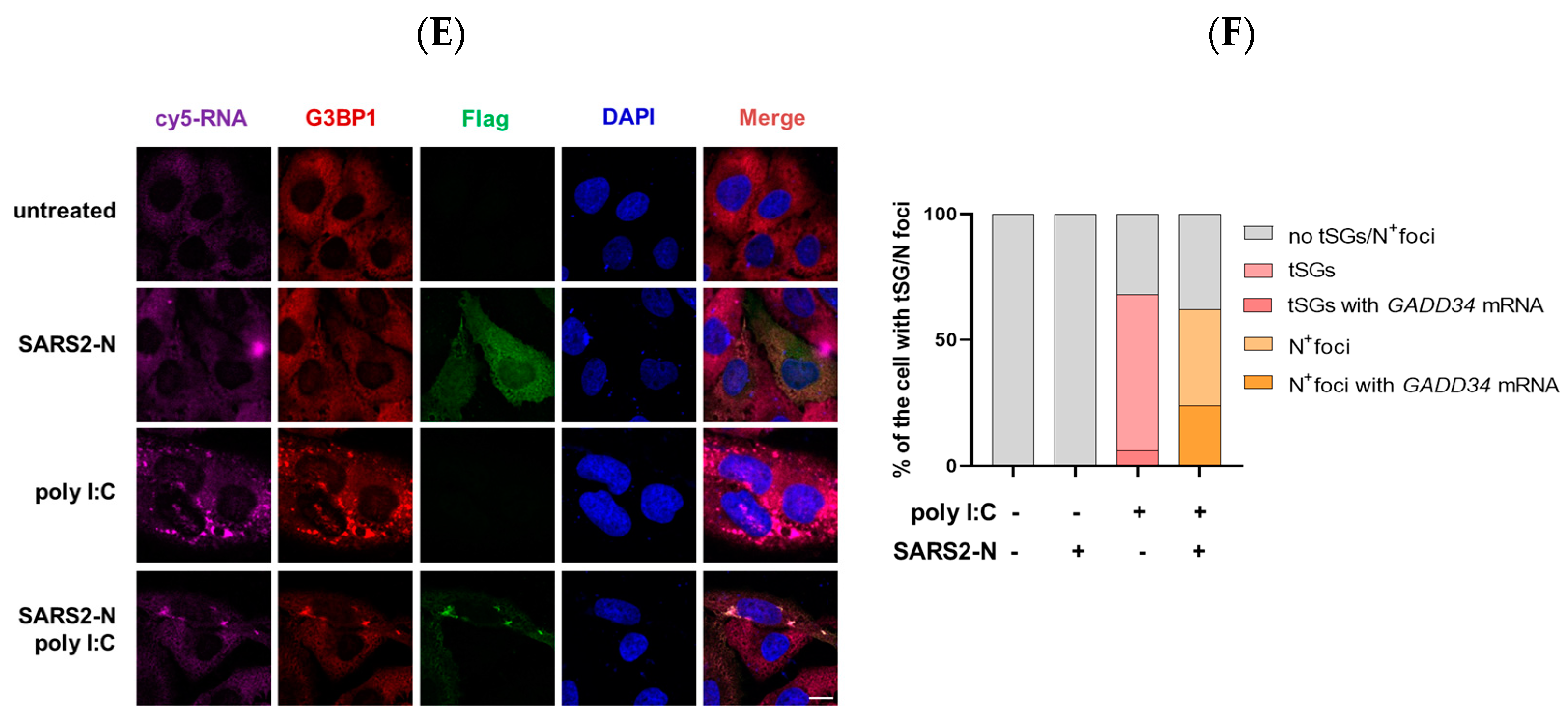 Molecules 29 04792 g002b