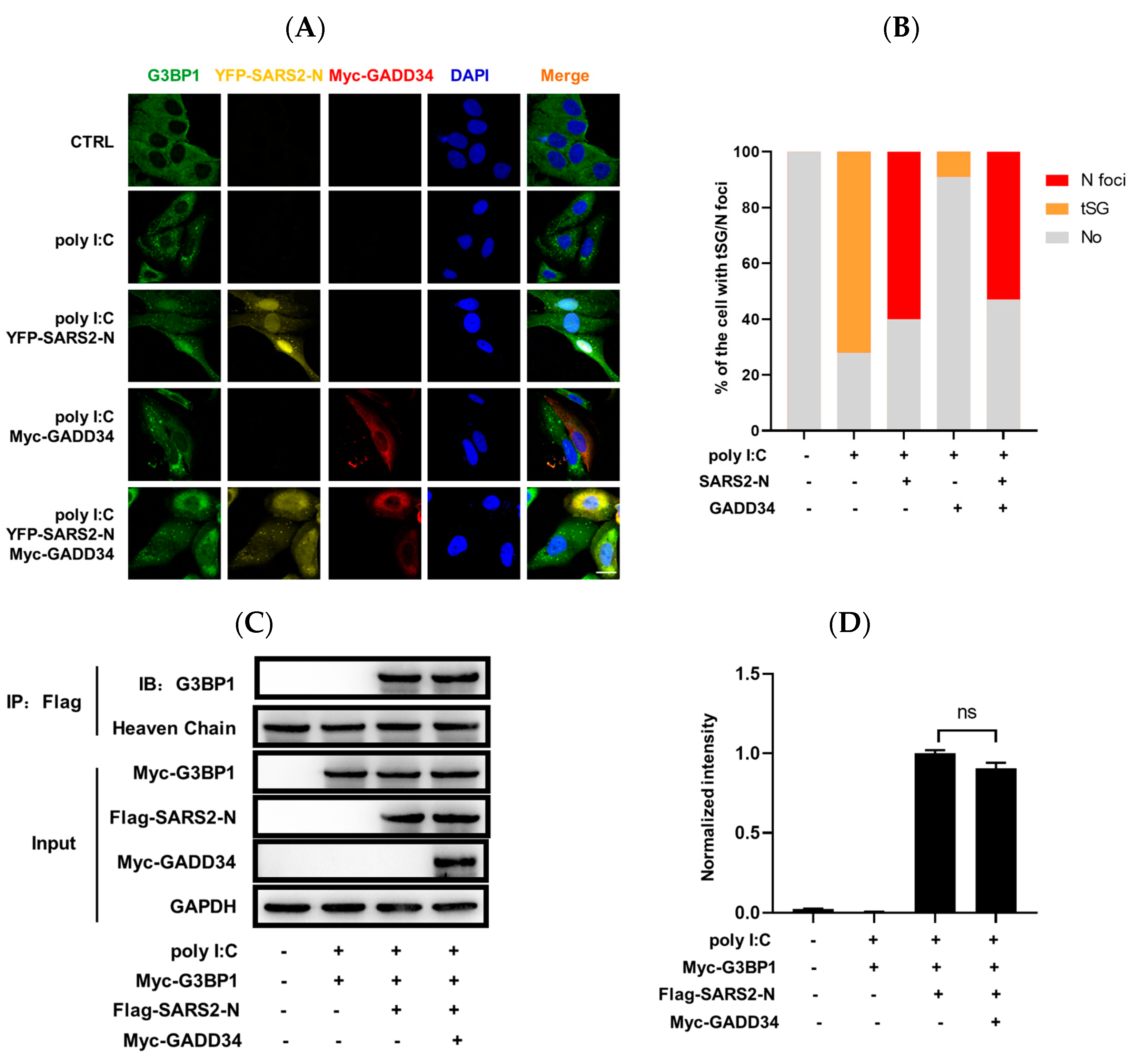 Molecules 29 04792 g004