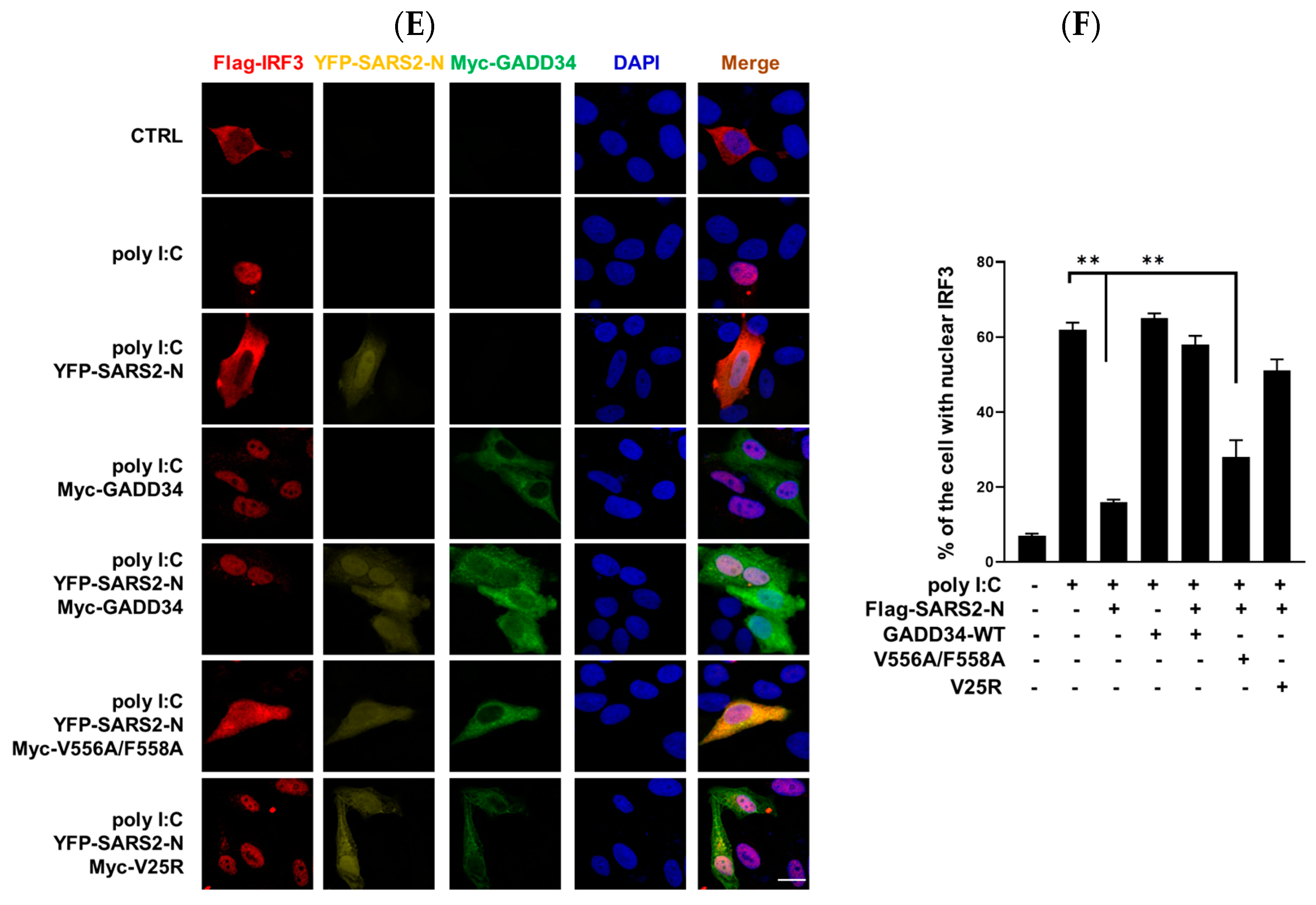 Molecules 29 04792 g005b