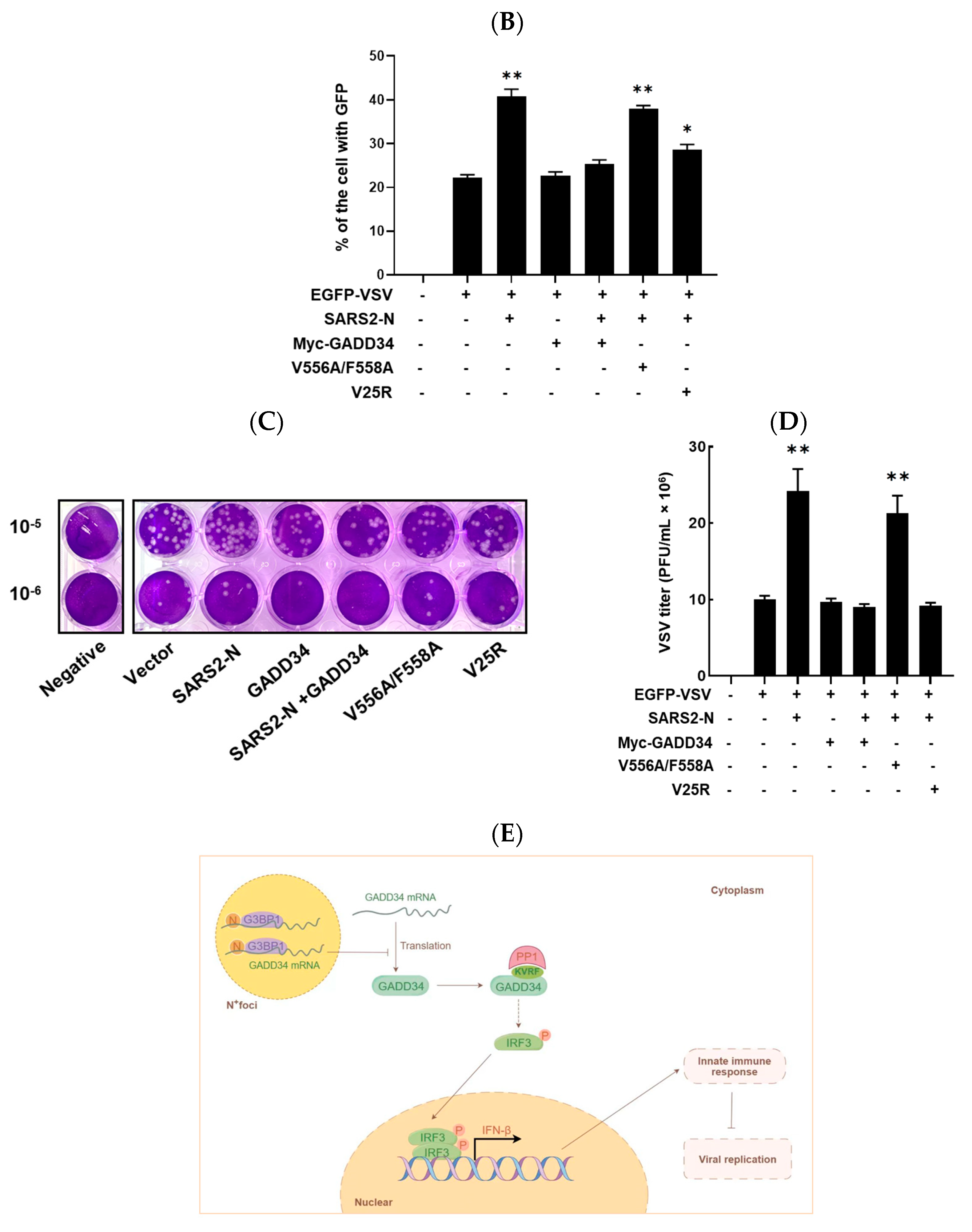 Molecules 29 04792 g006b