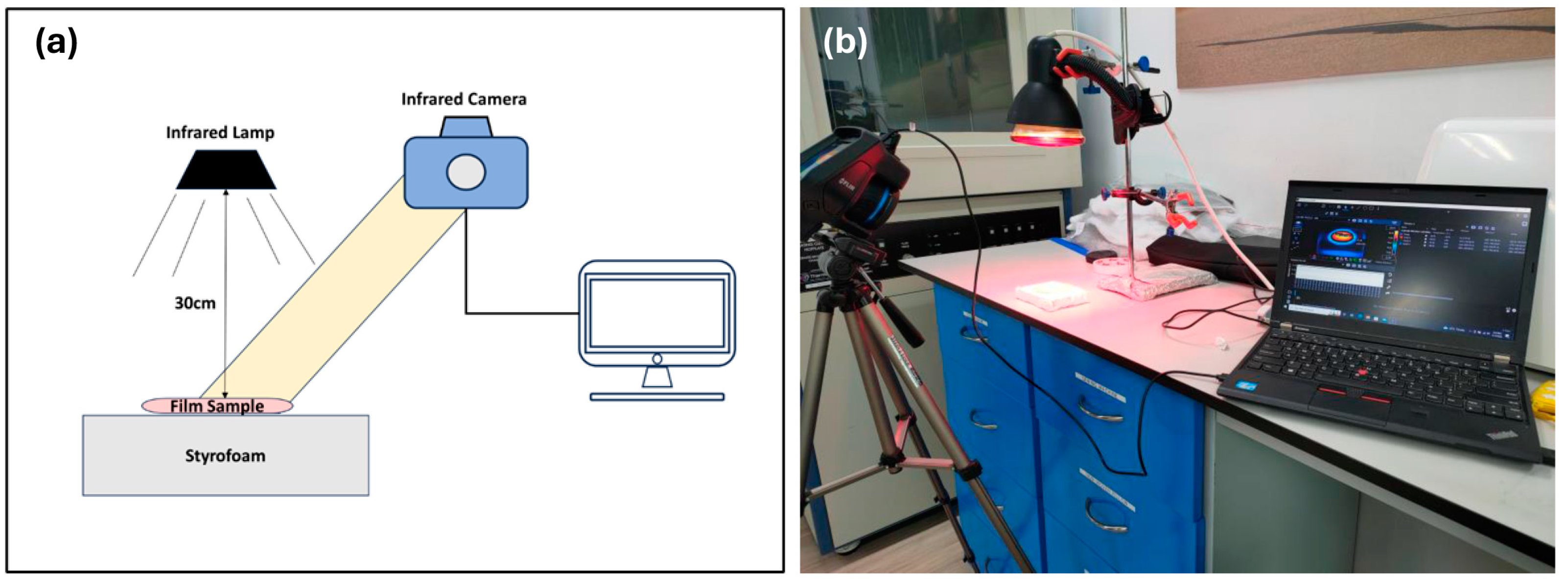 Molecules 29 04798 g008