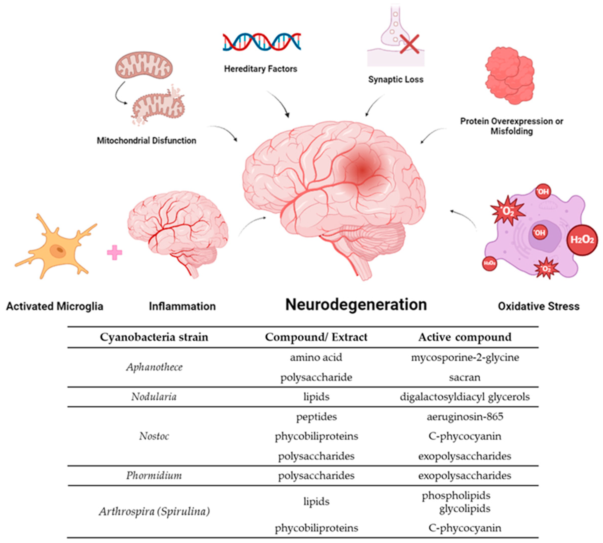 Molecules 29 04799 g001