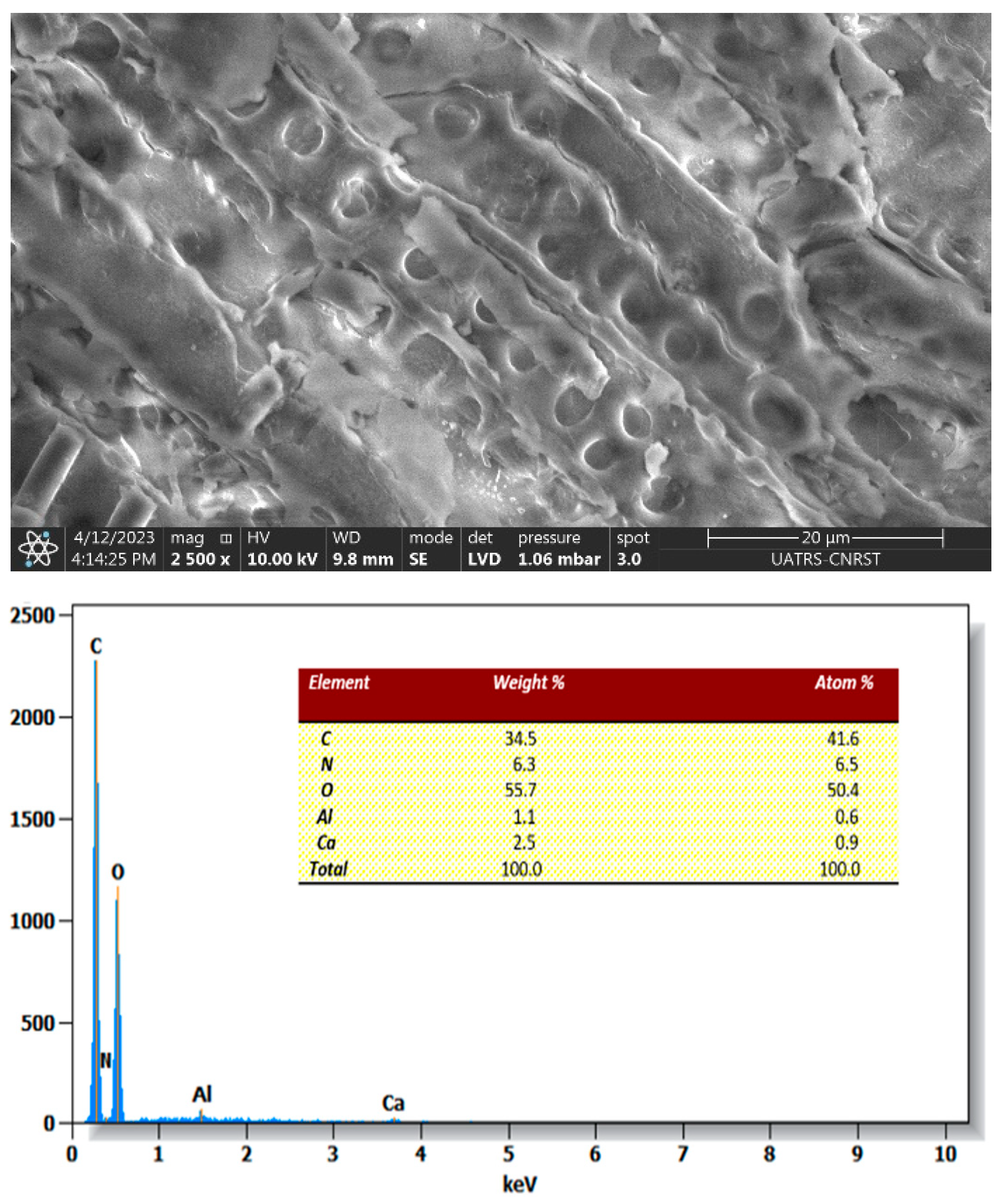 Molecules 29 04806 g005 Molecules 29 04806 g005