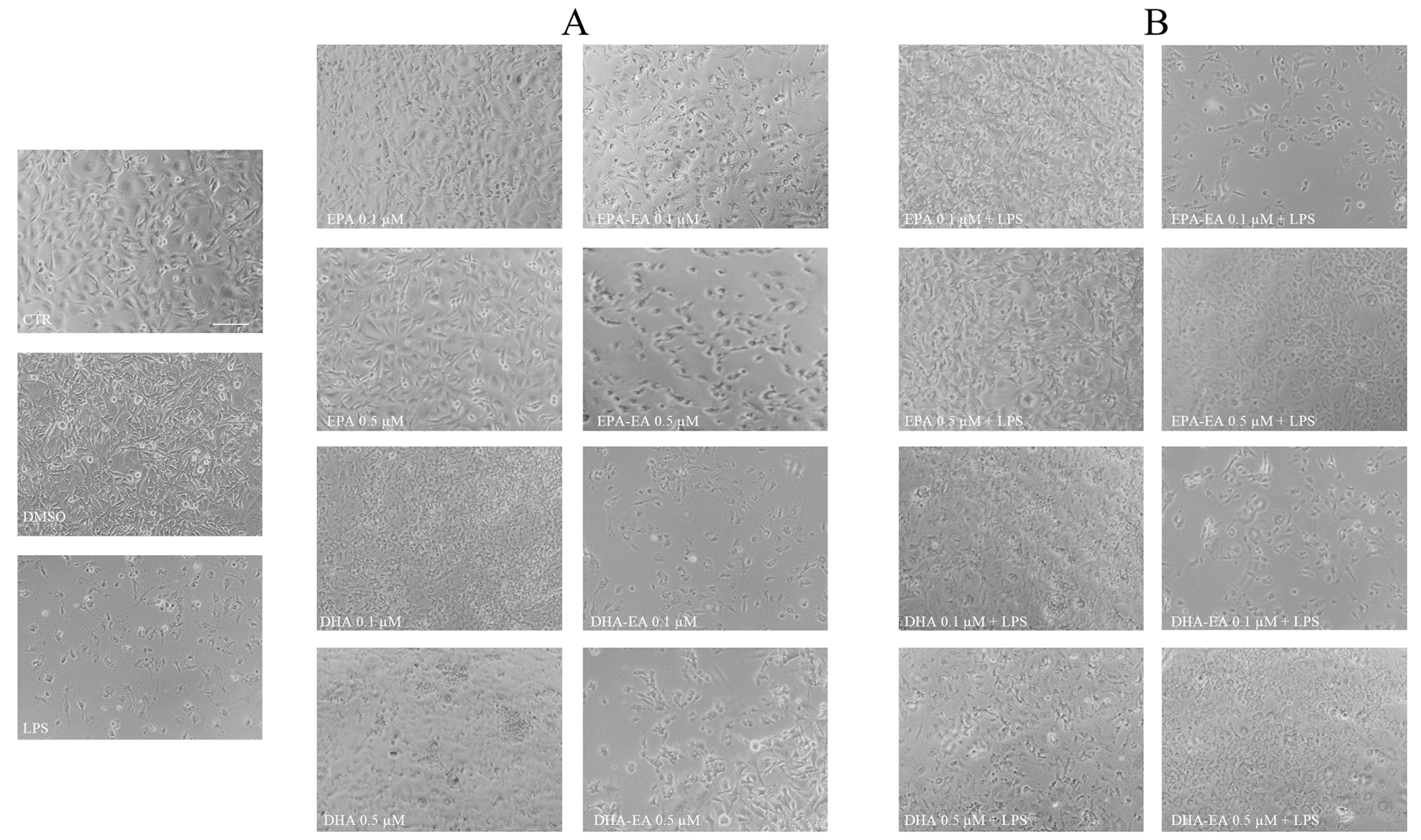 Molecules 29 04821 g002