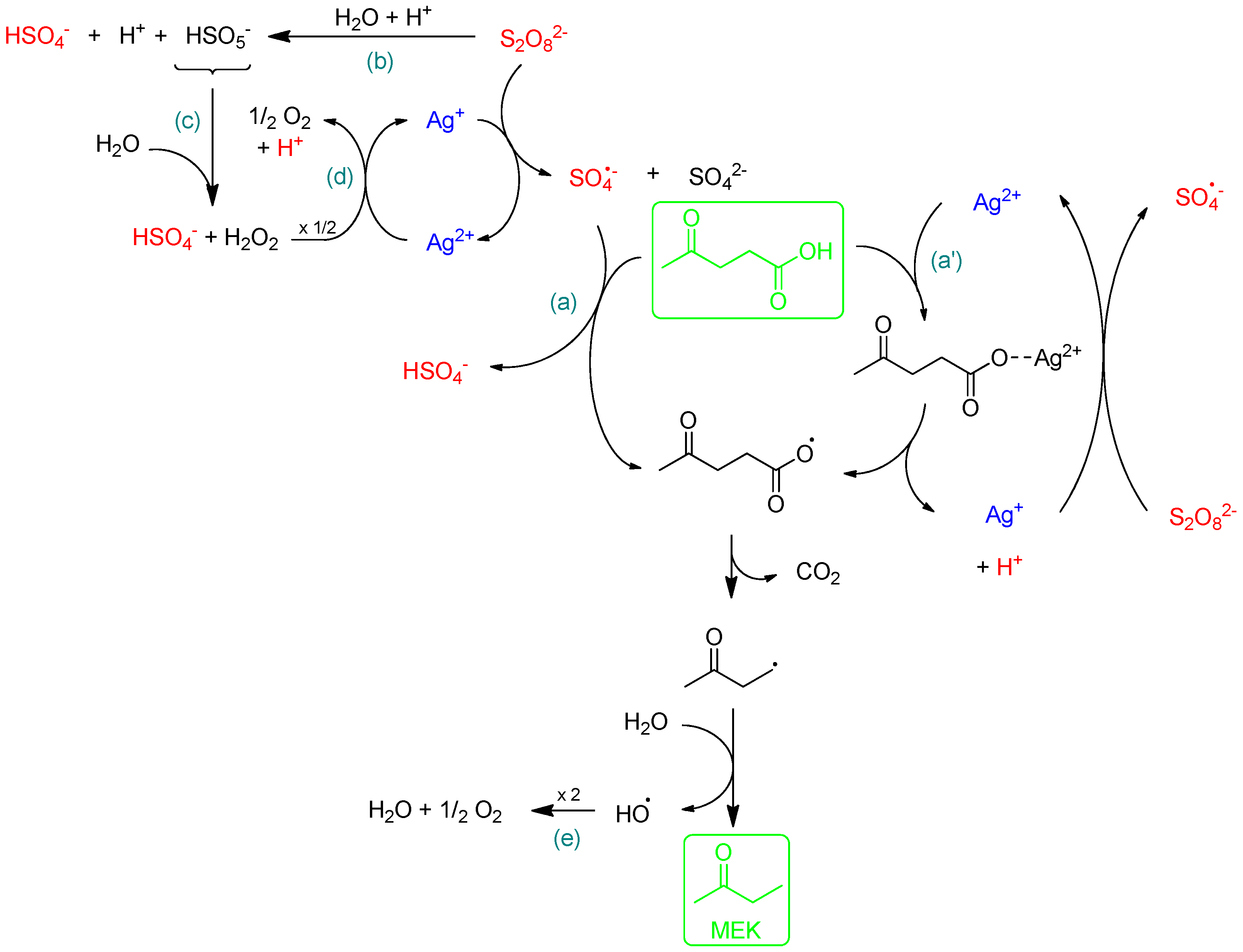 Molecules 29 04822 sch001