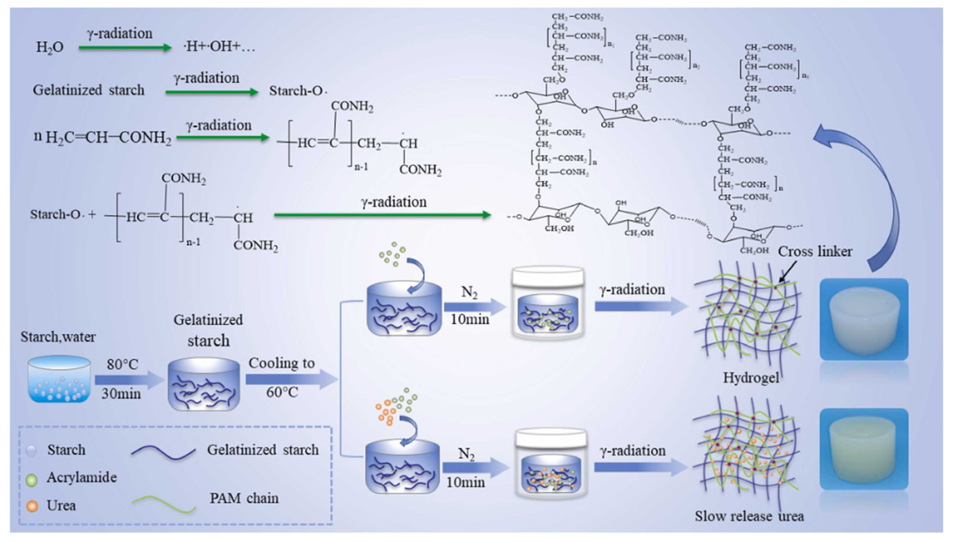 Molecules 29 04835 g004