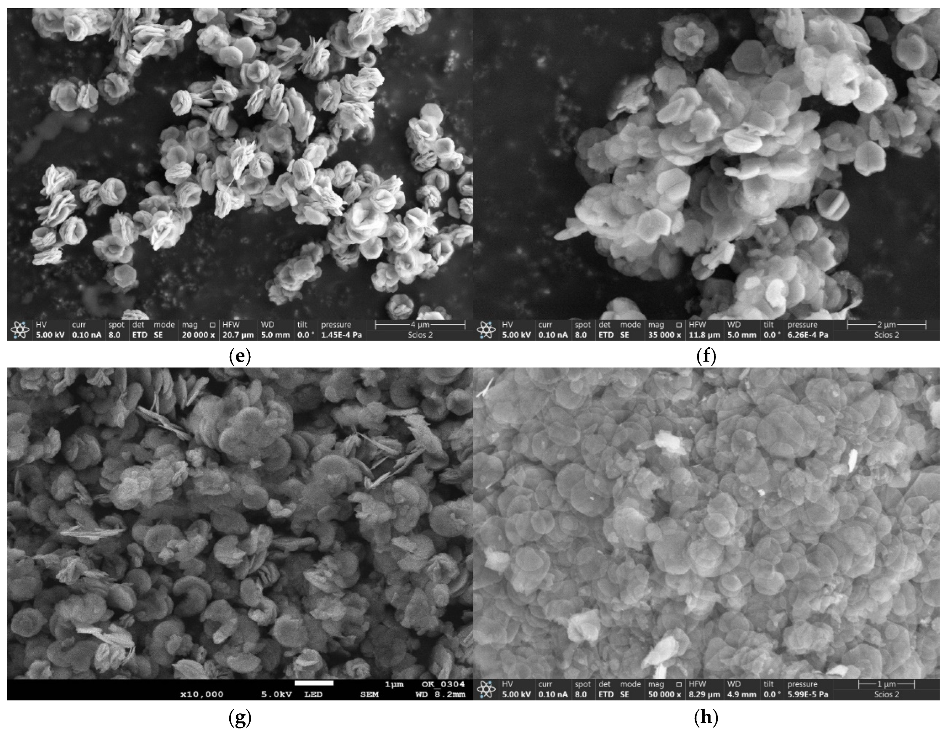 Molecules 29 04838 g003b Molecules 29 04838 g003b