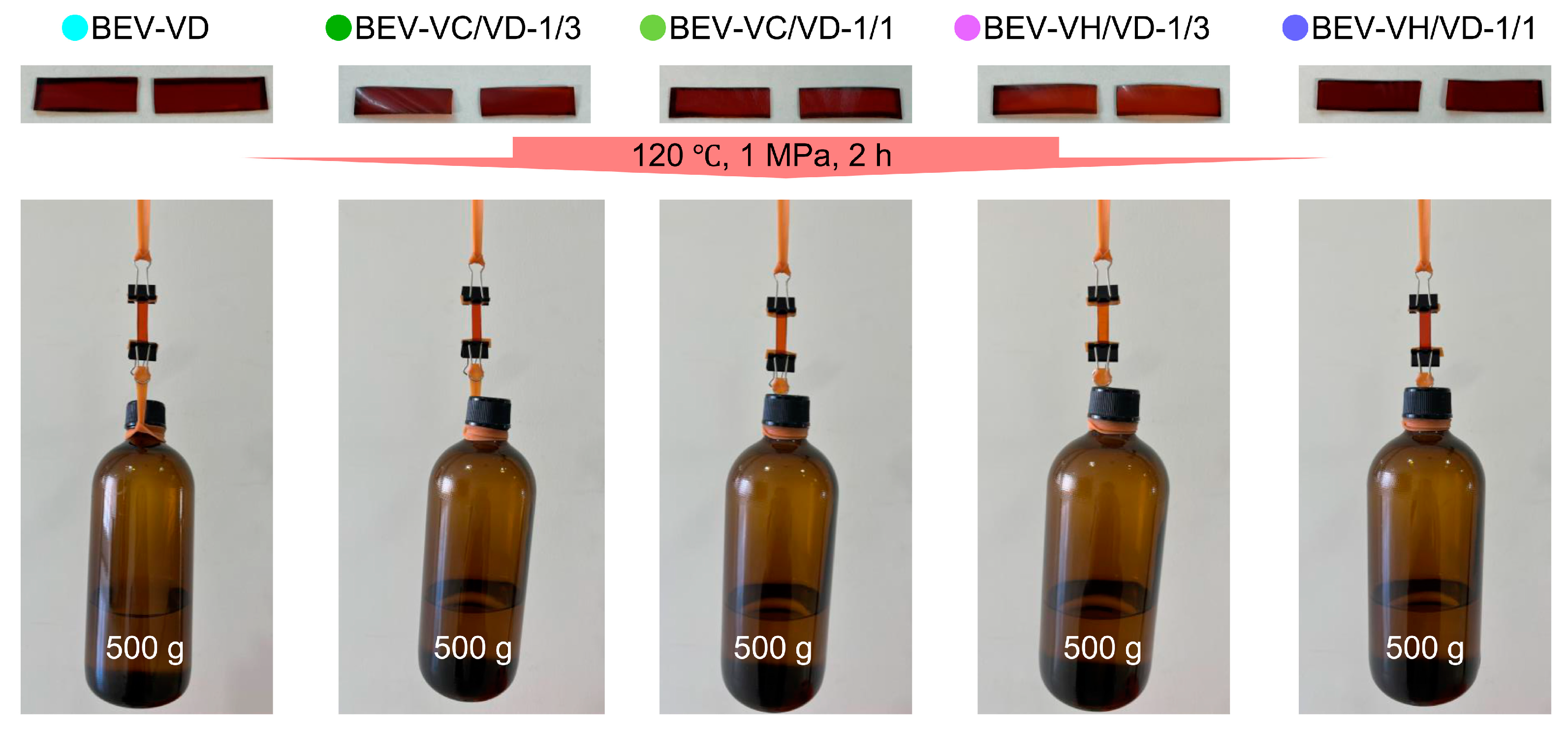 Molecules 29 04839 g012