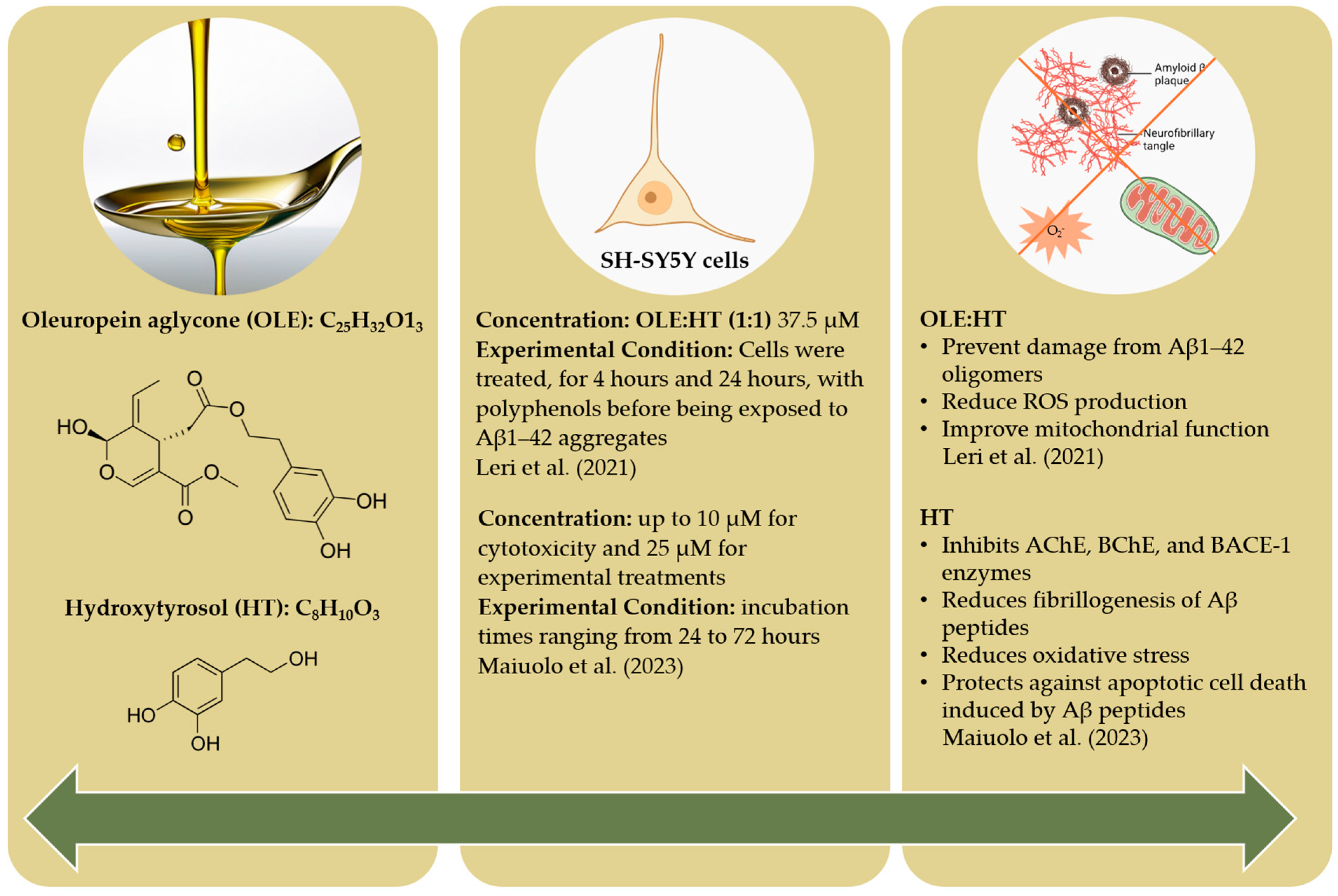 Molecules 29 04841 g008