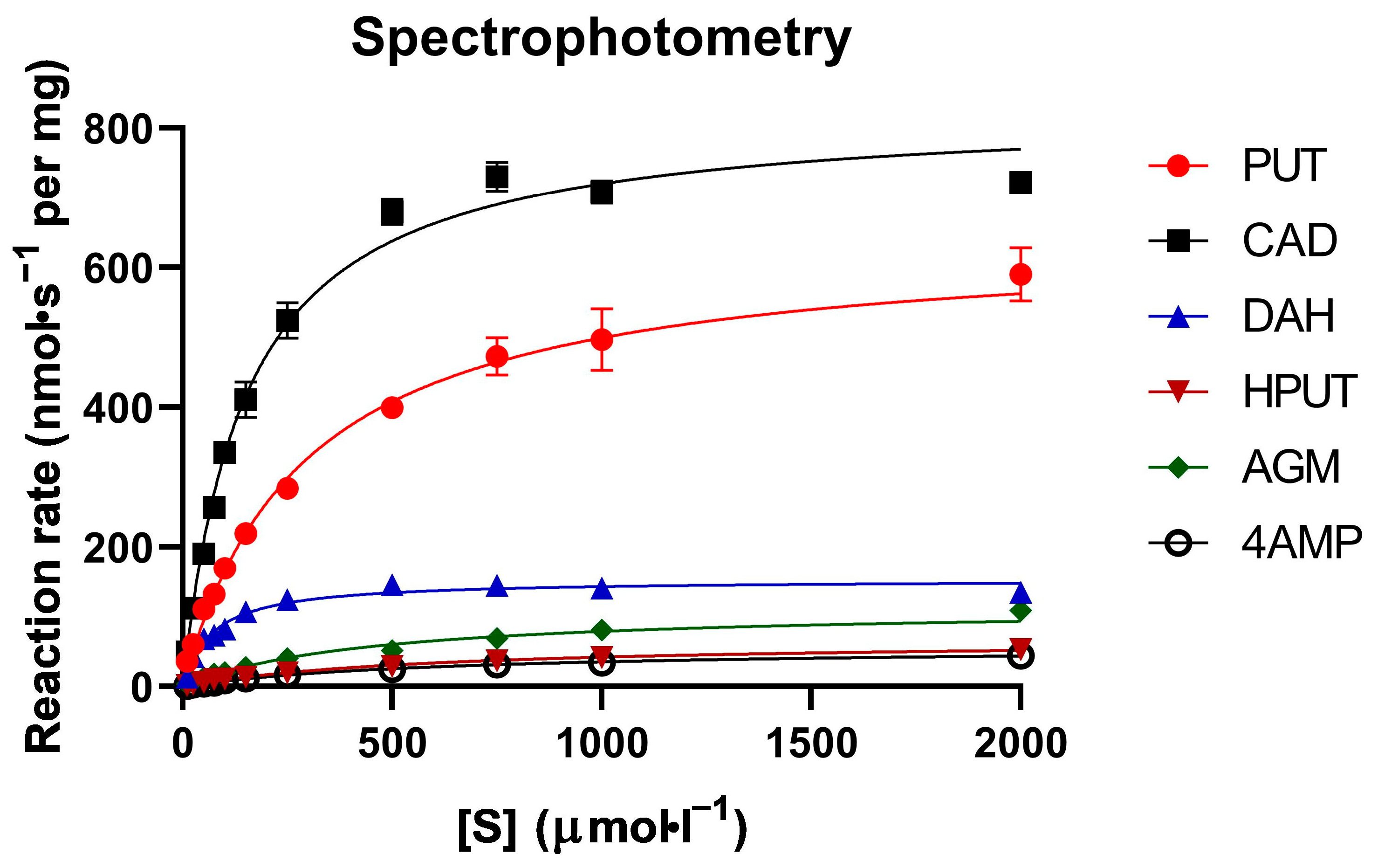 Molecules 29 04878 g001