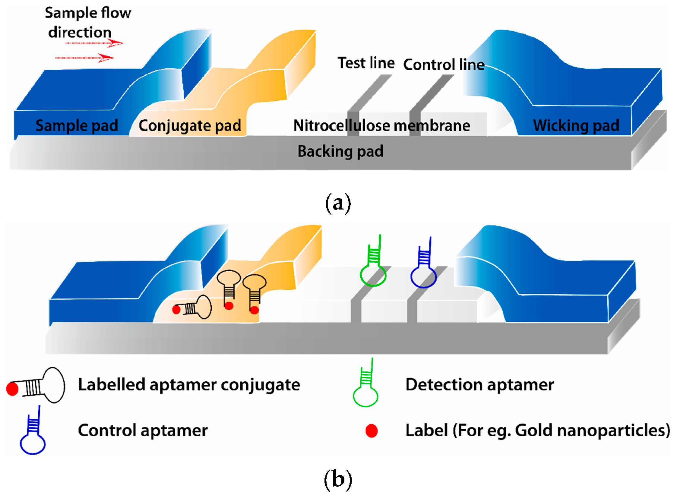 Molecules 29 04891 g001