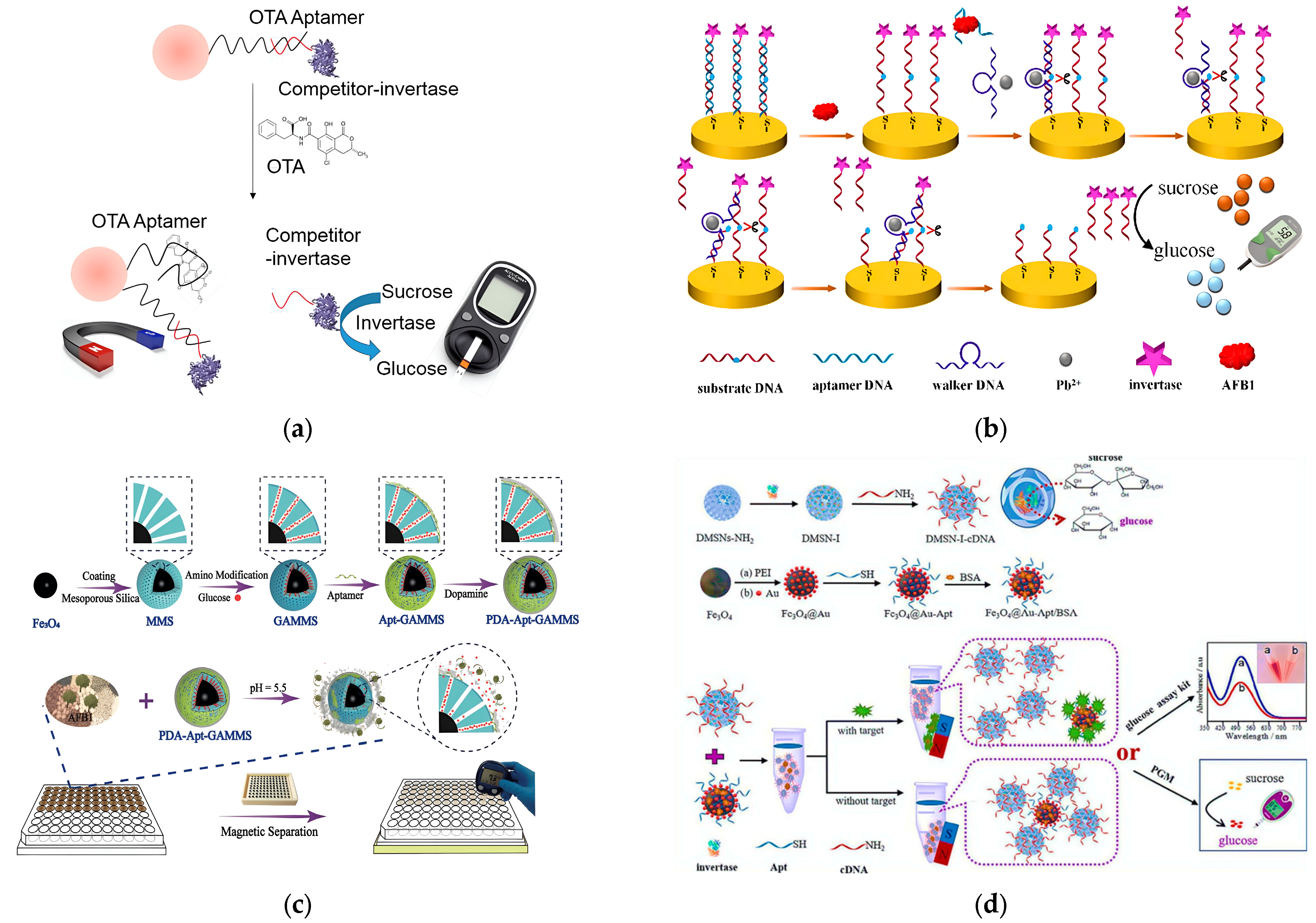 Molecules 29 04891 g003