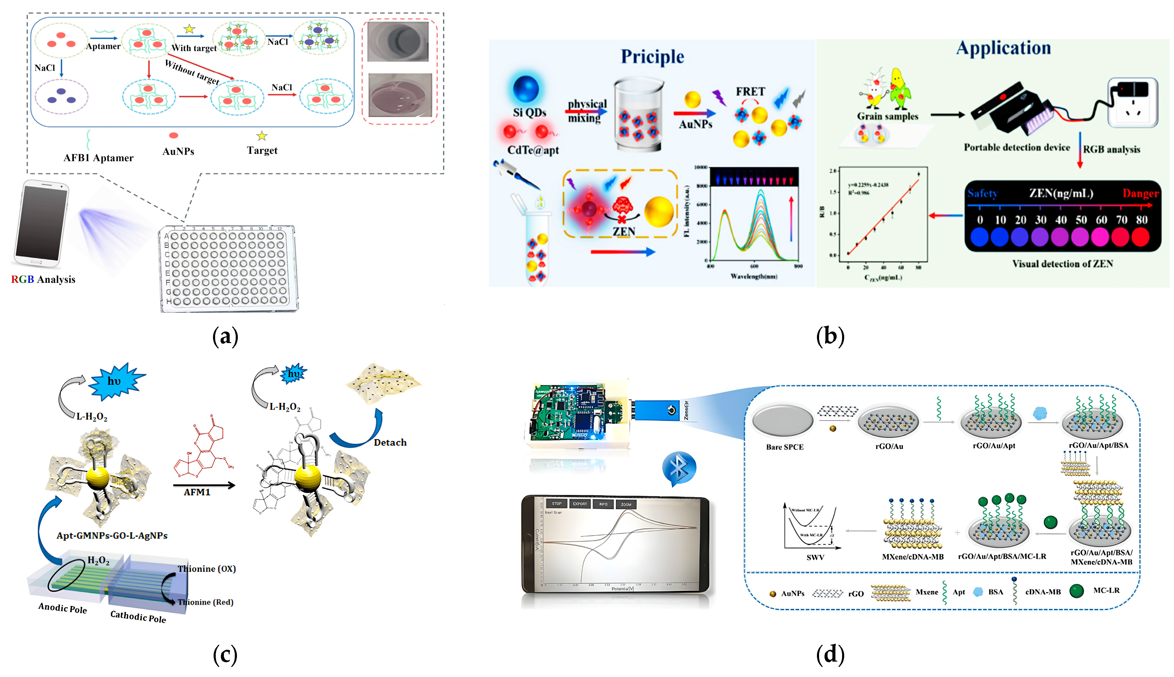 Molecules 29 04891 g004