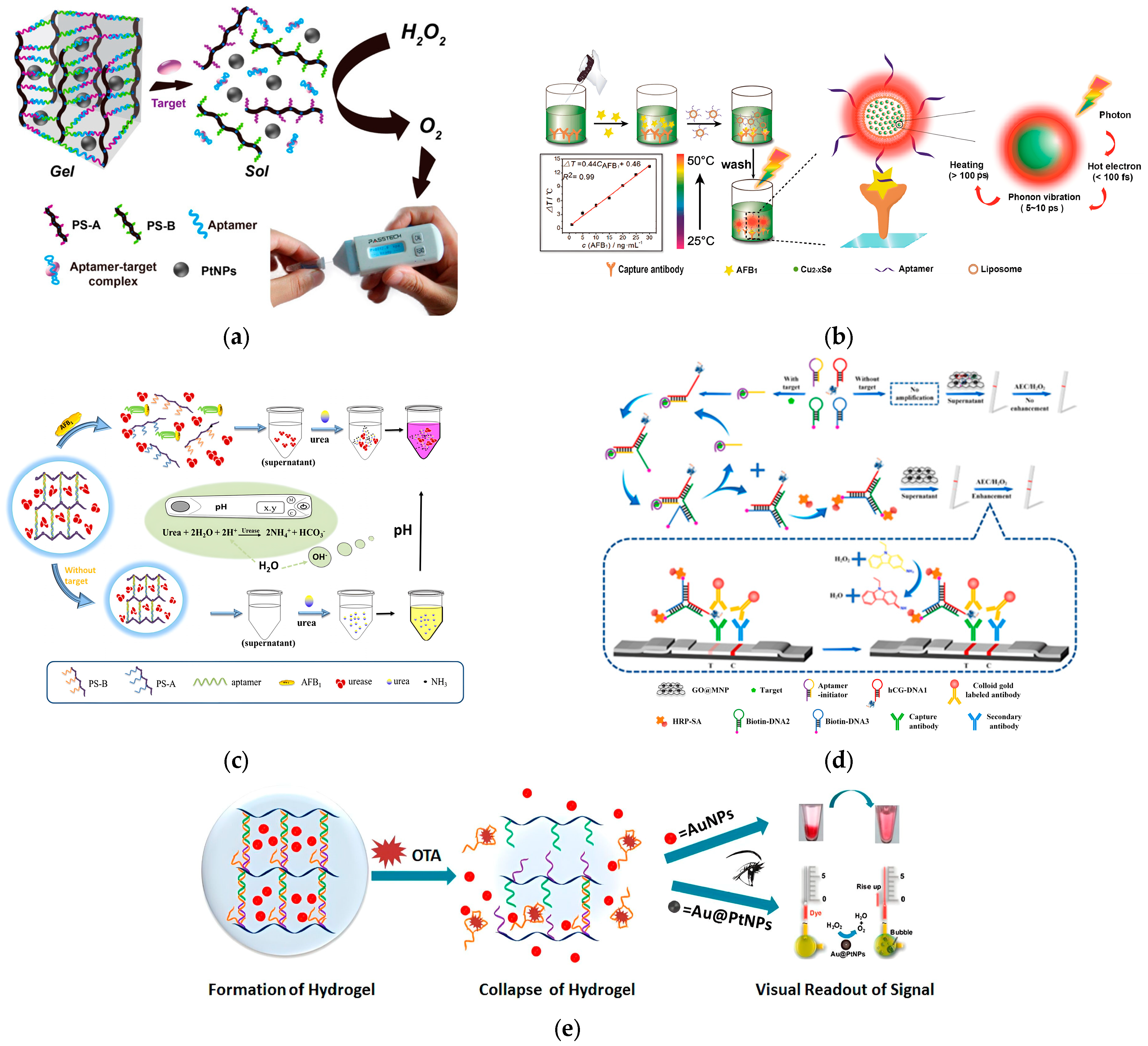 Molecules 29 04891 g005