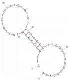 Molecules 29 04891 i008