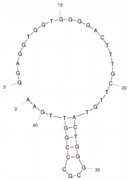 Molecules 29 04891 i011