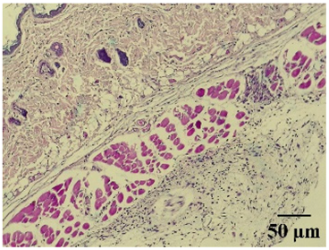 Molecules 29 04964 i003