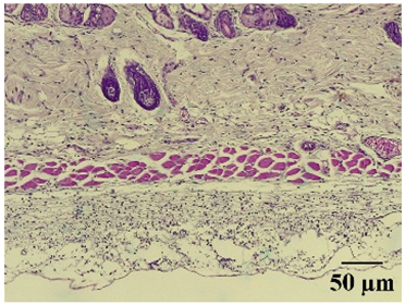 Molecules 29 04964 i005