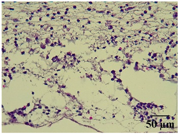 Molecules 29 04964 i006